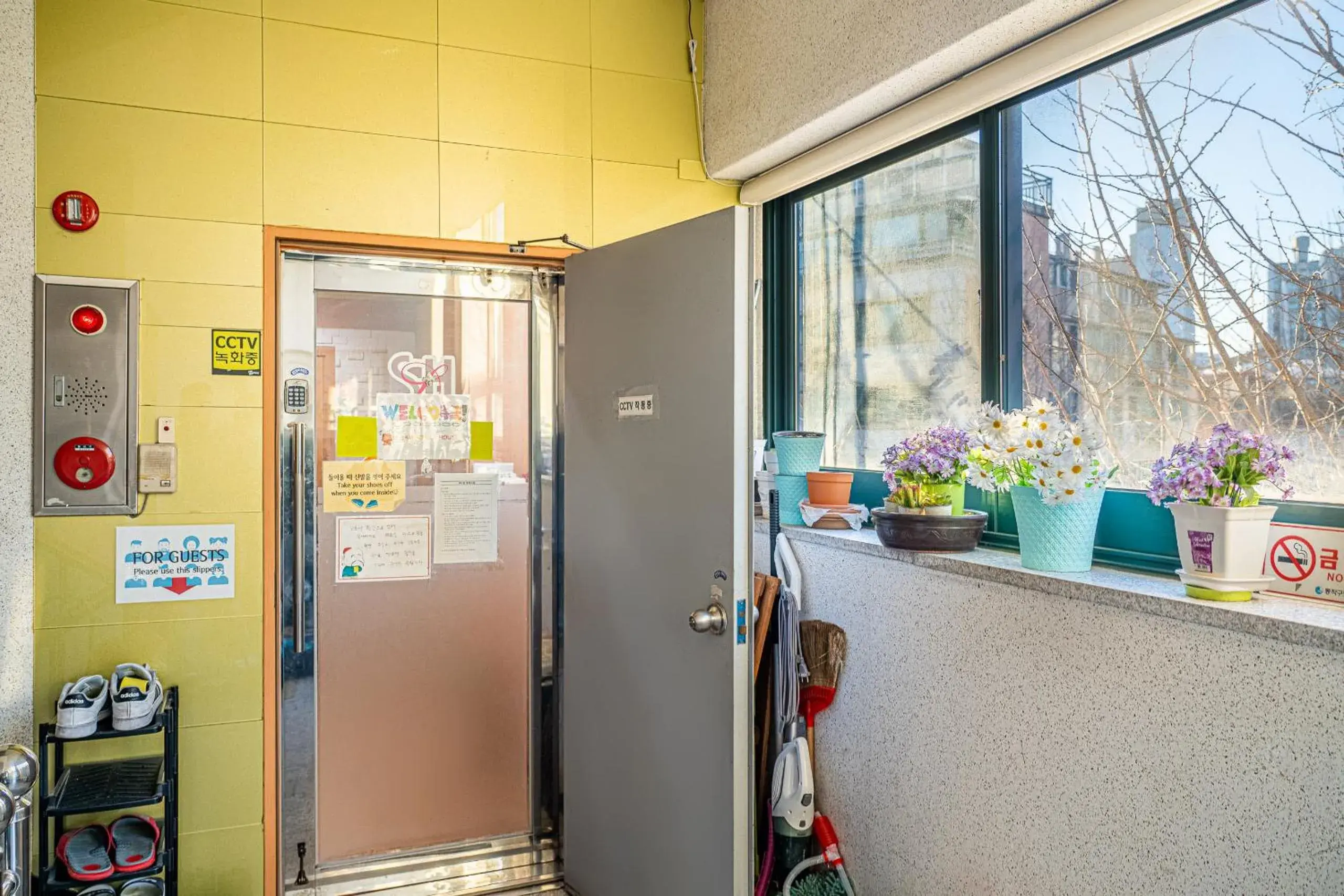 Property building in Dream Single House Property building in Dream Single House