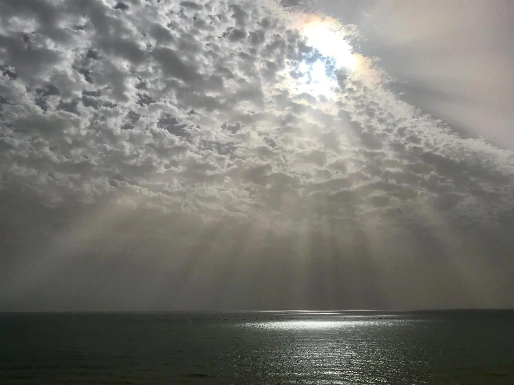 Beach in Apartamentos Turísticos Castillo del Vigia