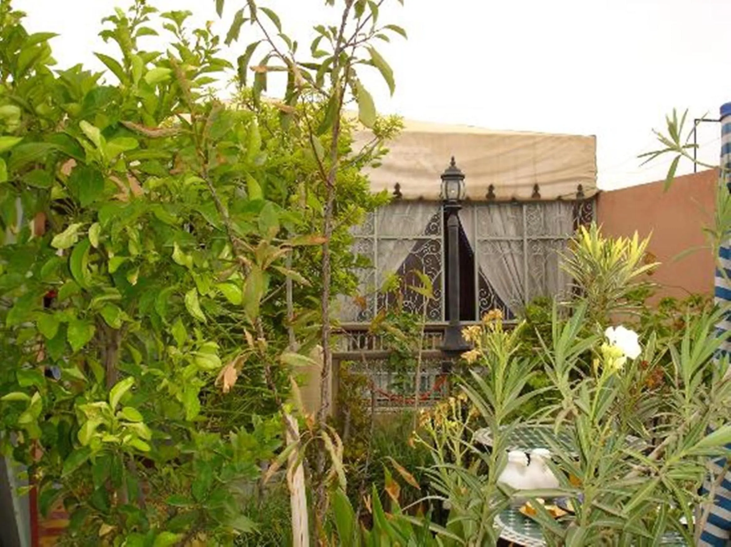 Property building in Riad Hôtel Belleville Marrakech