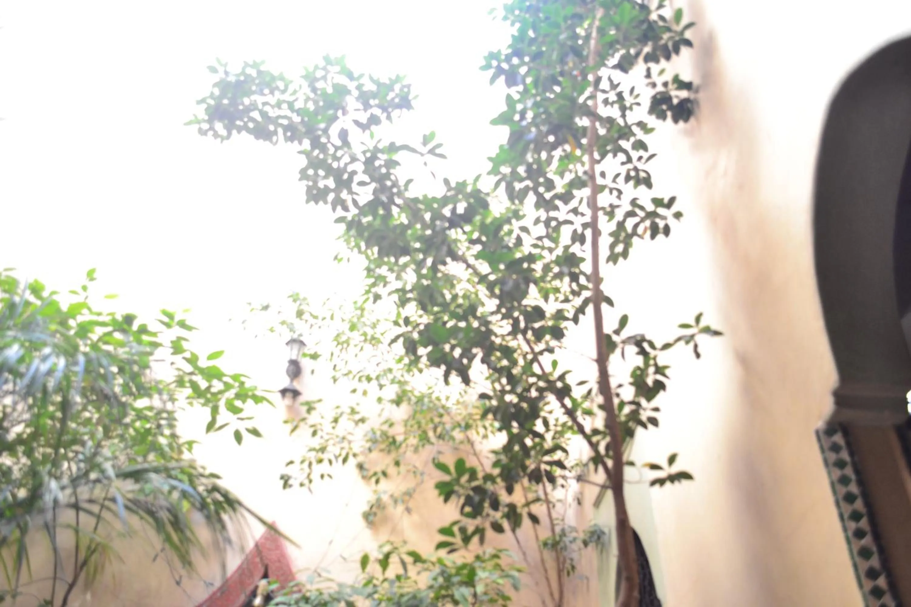 Day in Riad Hôtel Belleville Marrakech