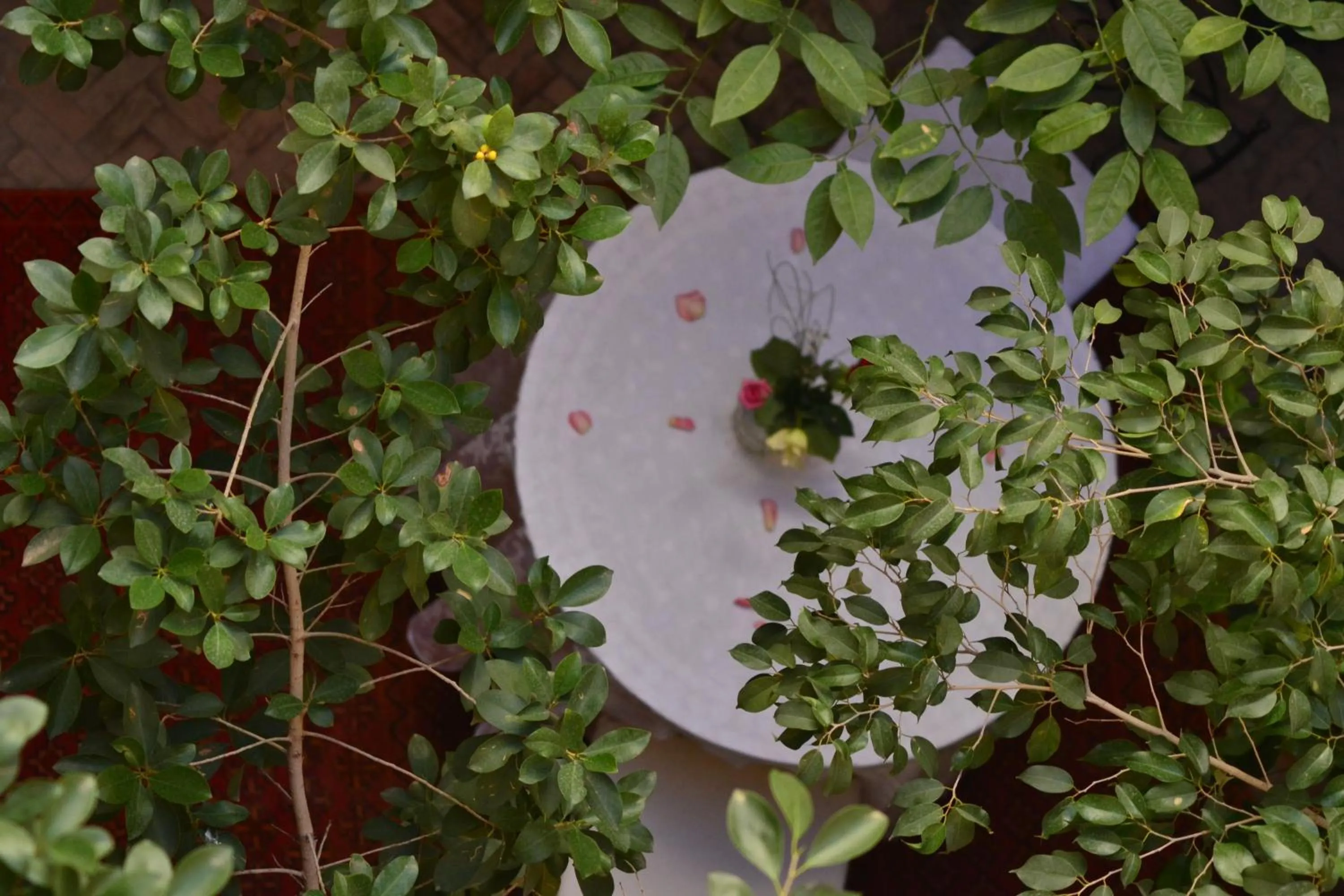 Decorative detail in Riad Hôtel Belleville Marrakech