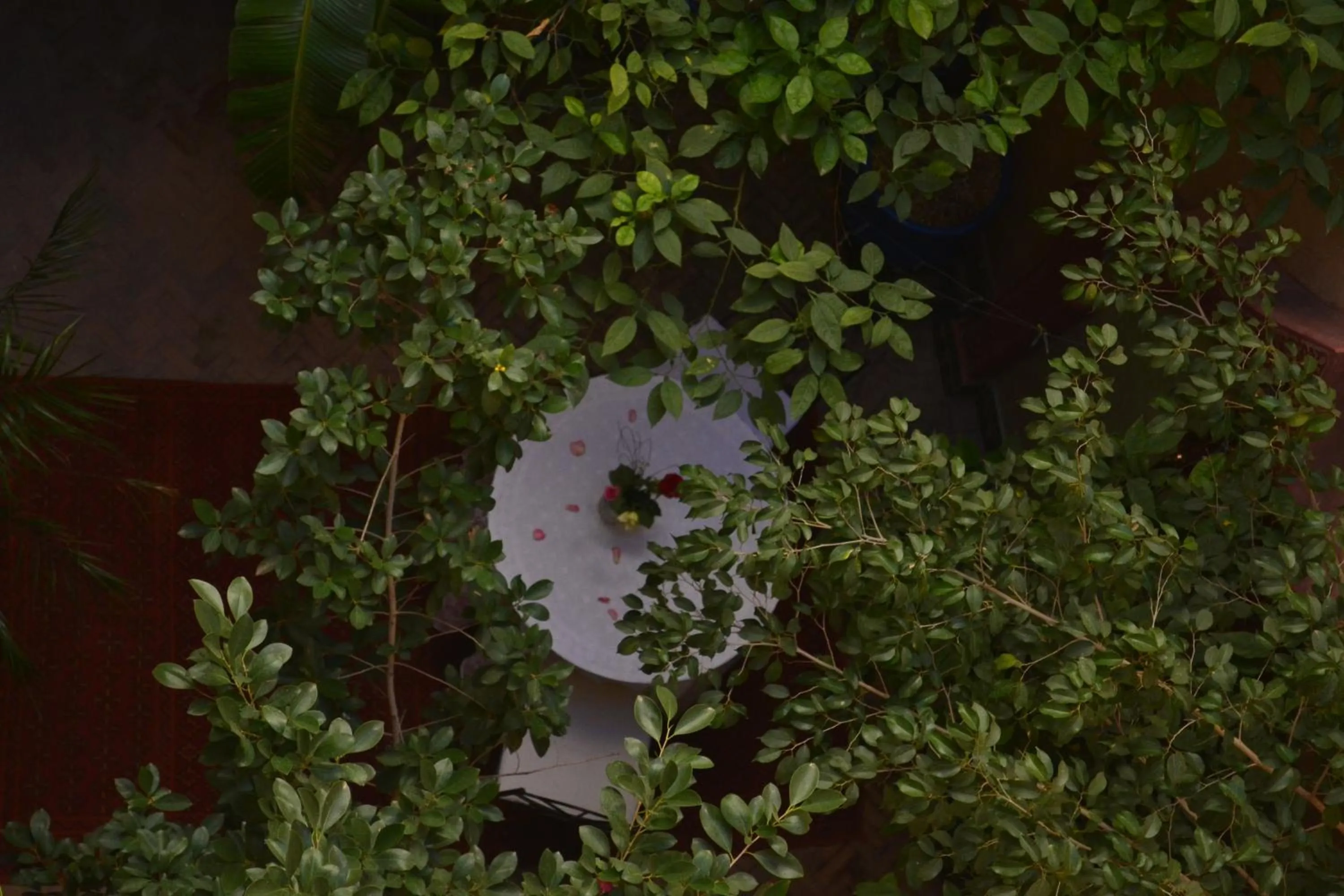 Day in Riad Hôtel Belleville Marrakech