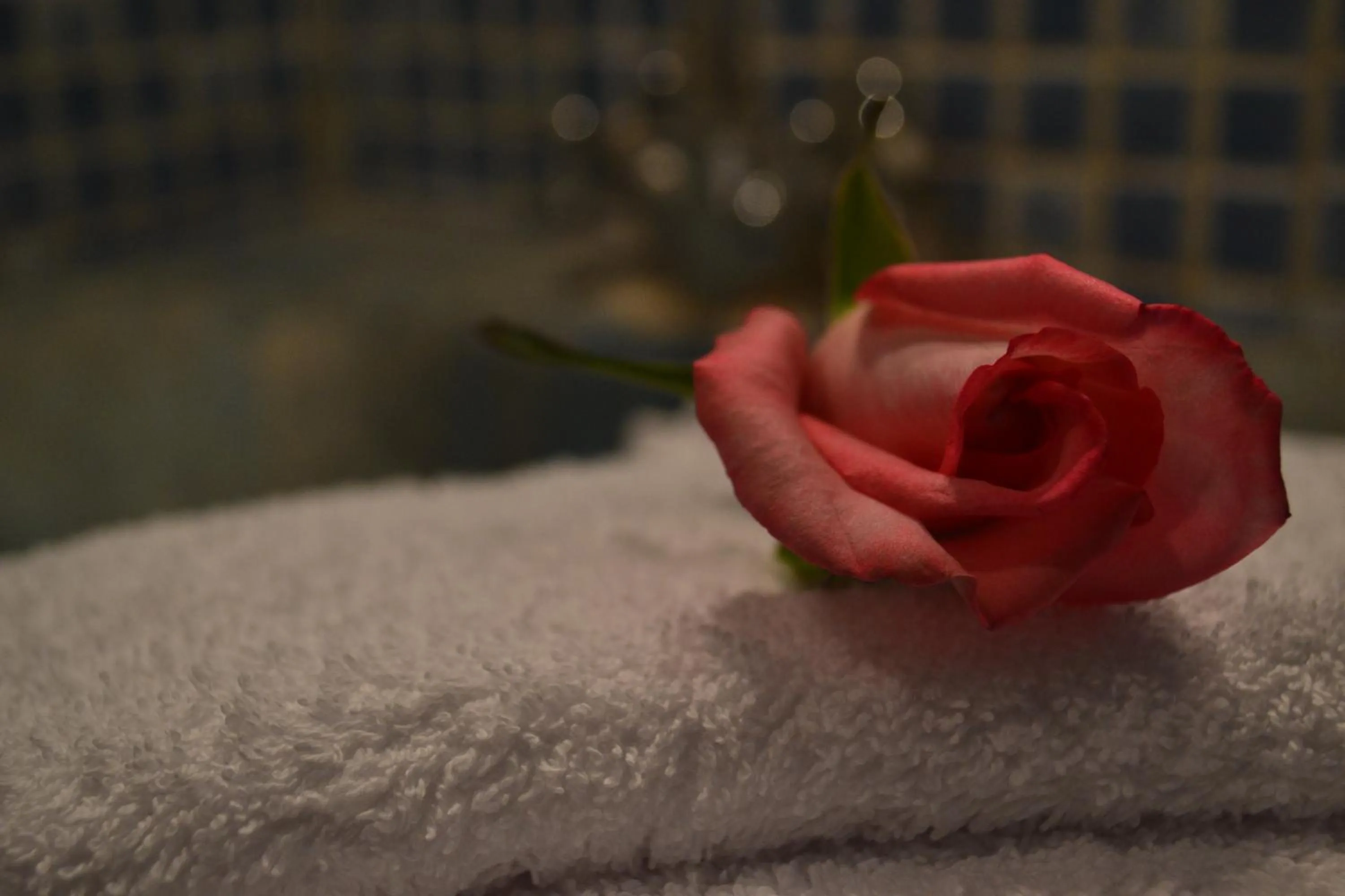 Other in Riad Hôtel Belleville Marrakech