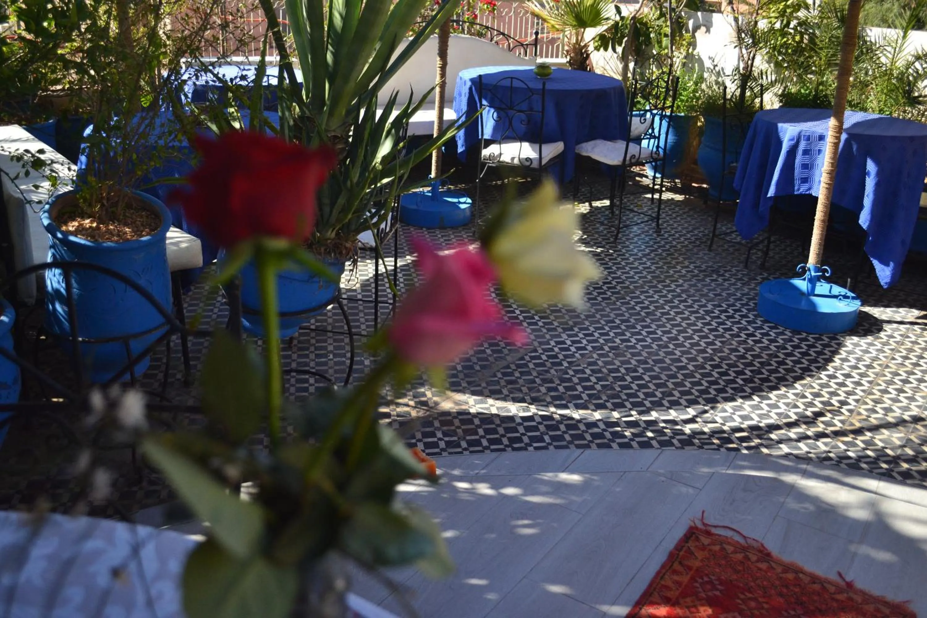 Patio in Riad Hôtel Belleville Marrakech