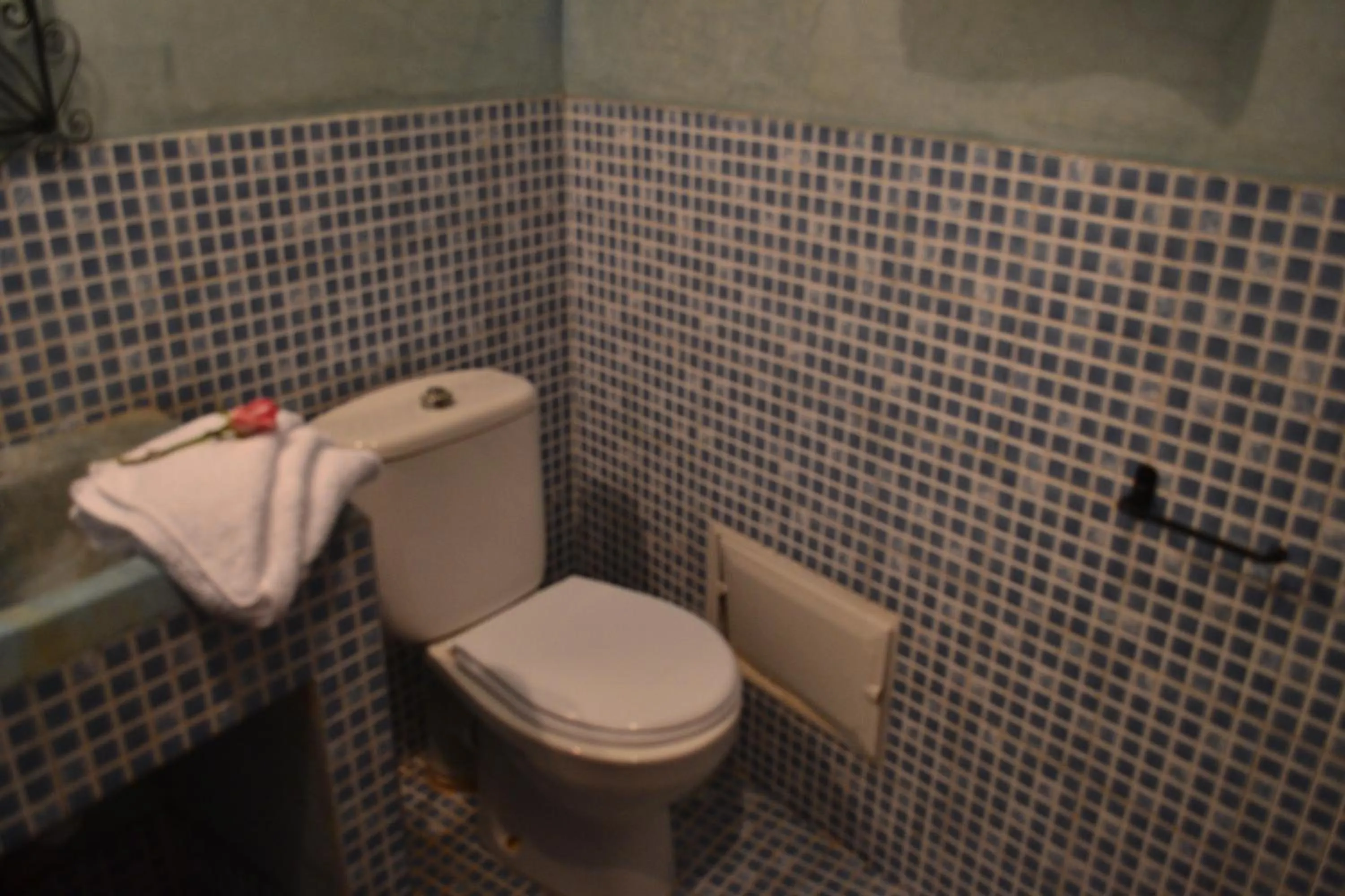 Toilet in Riad Hôtel Belleville Marrakech