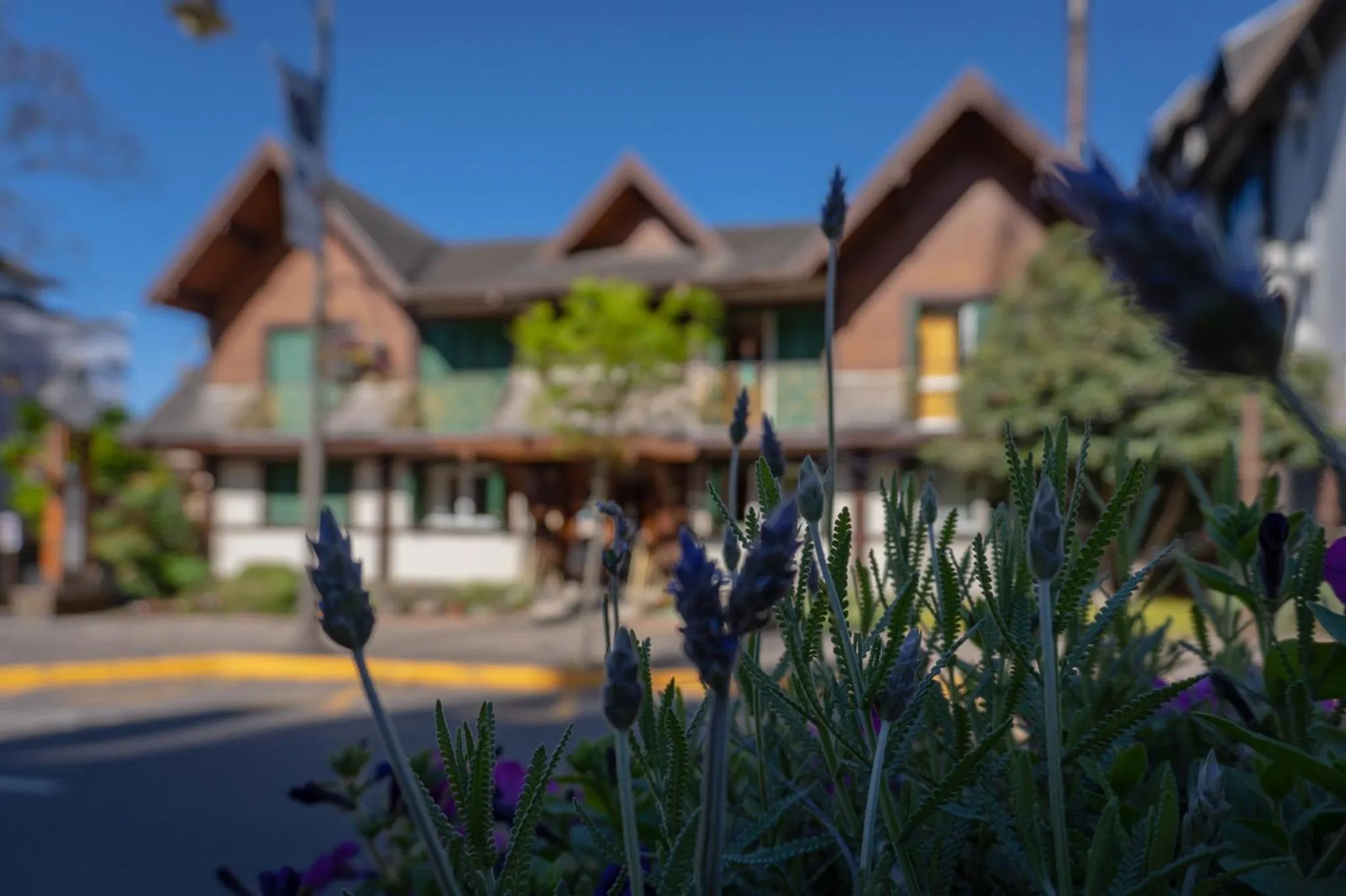 Property building in Hotel Vovó Carolina