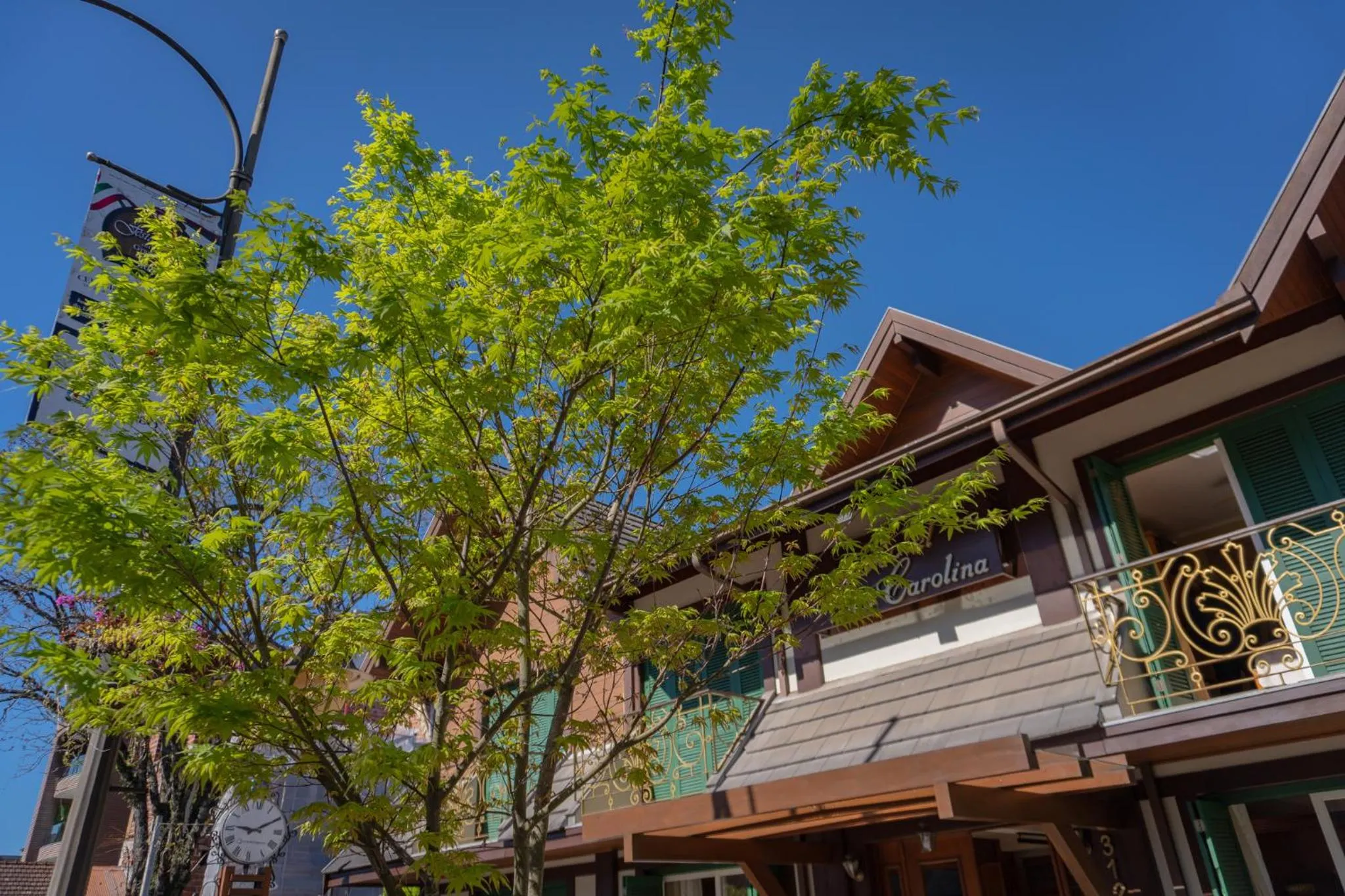 Hotel Vovó Carolina