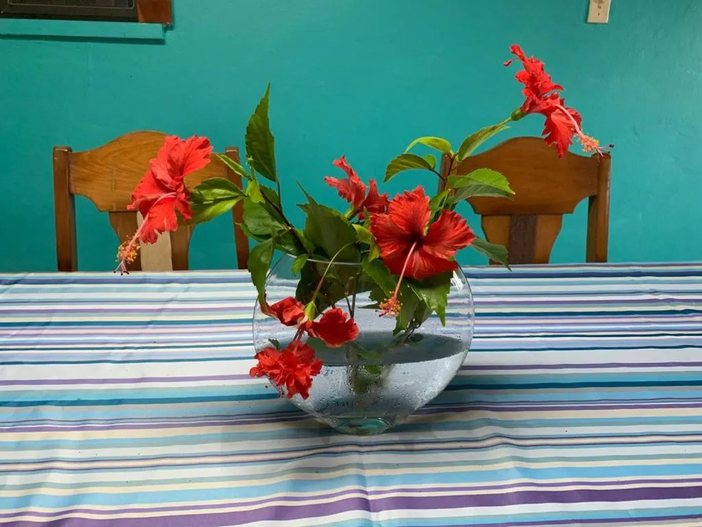 Communal kitchen in River Bend Resort Bze