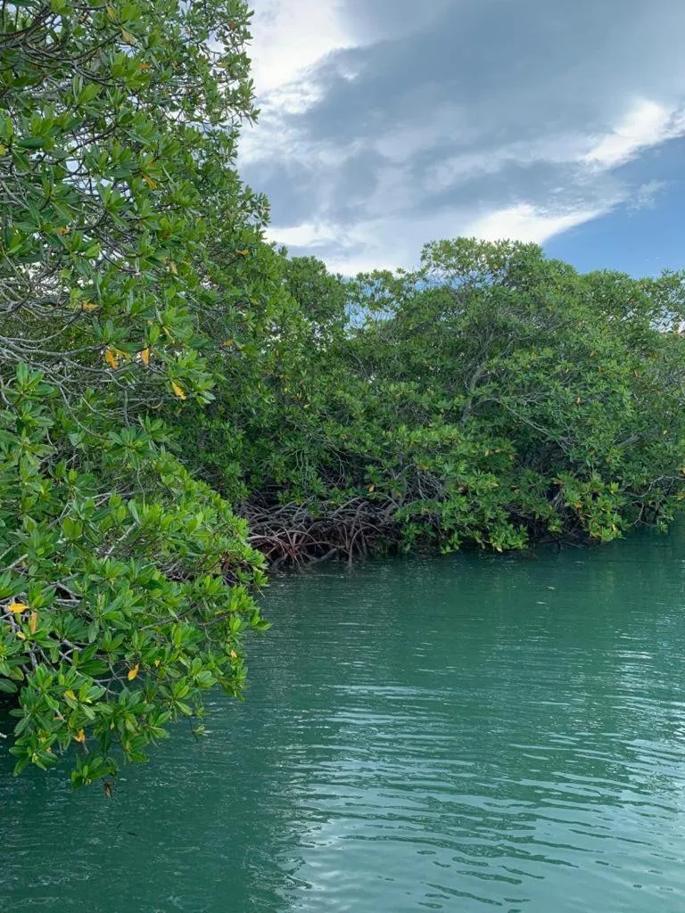 Off site in River Bend Resort Bze