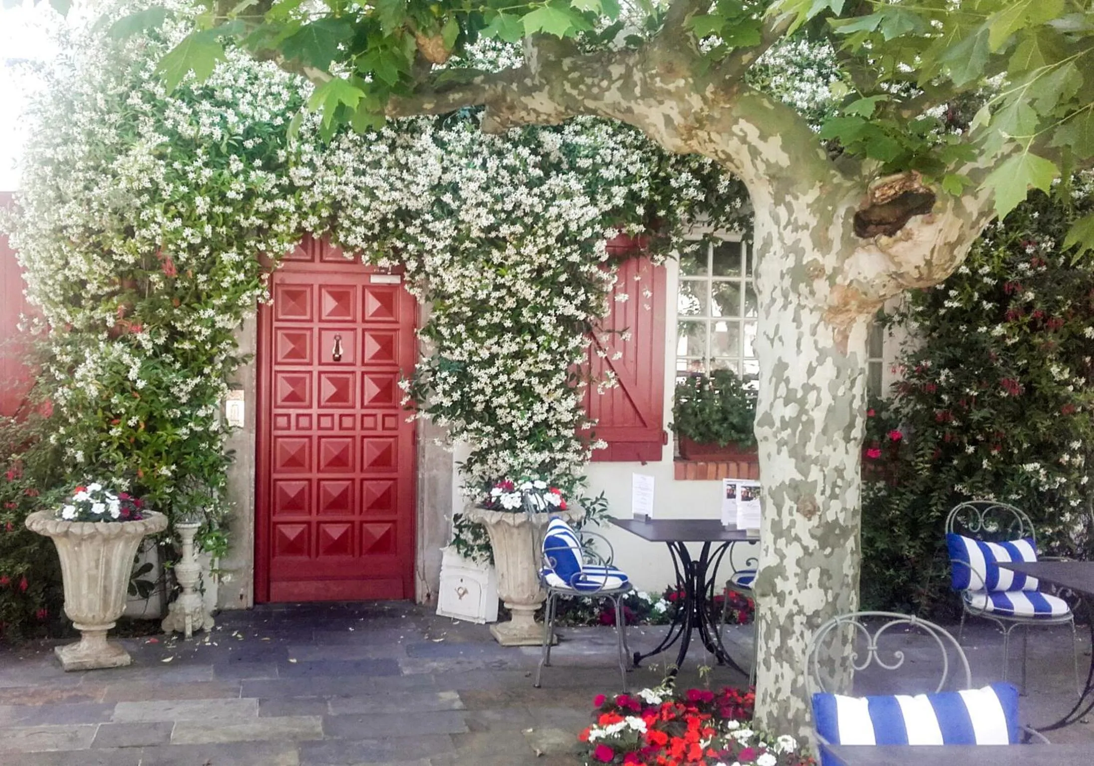 Facade/entrance in Hotel Villa Catarie
