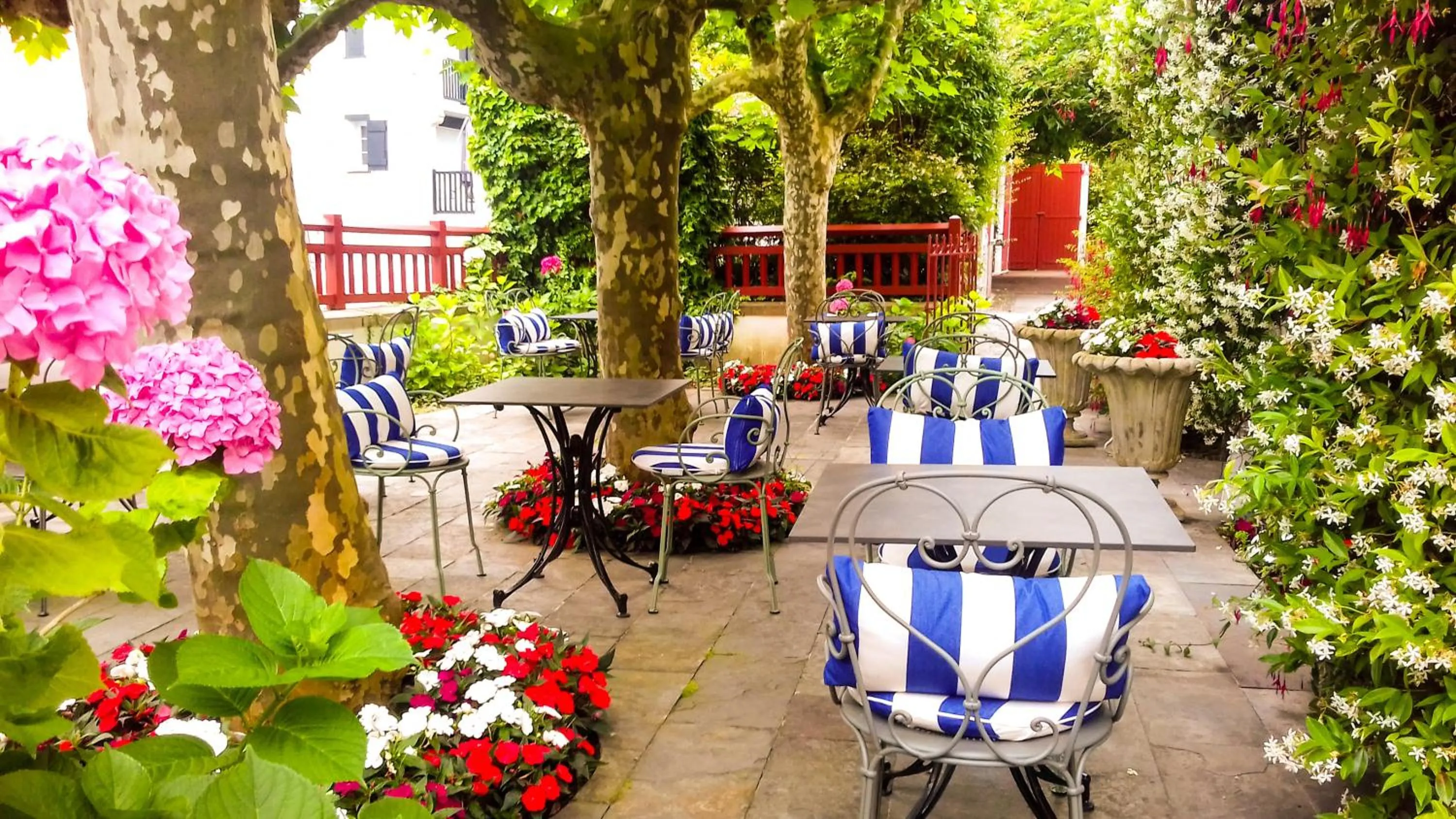 Balcony/Terrace in Hotel Villa Catarie