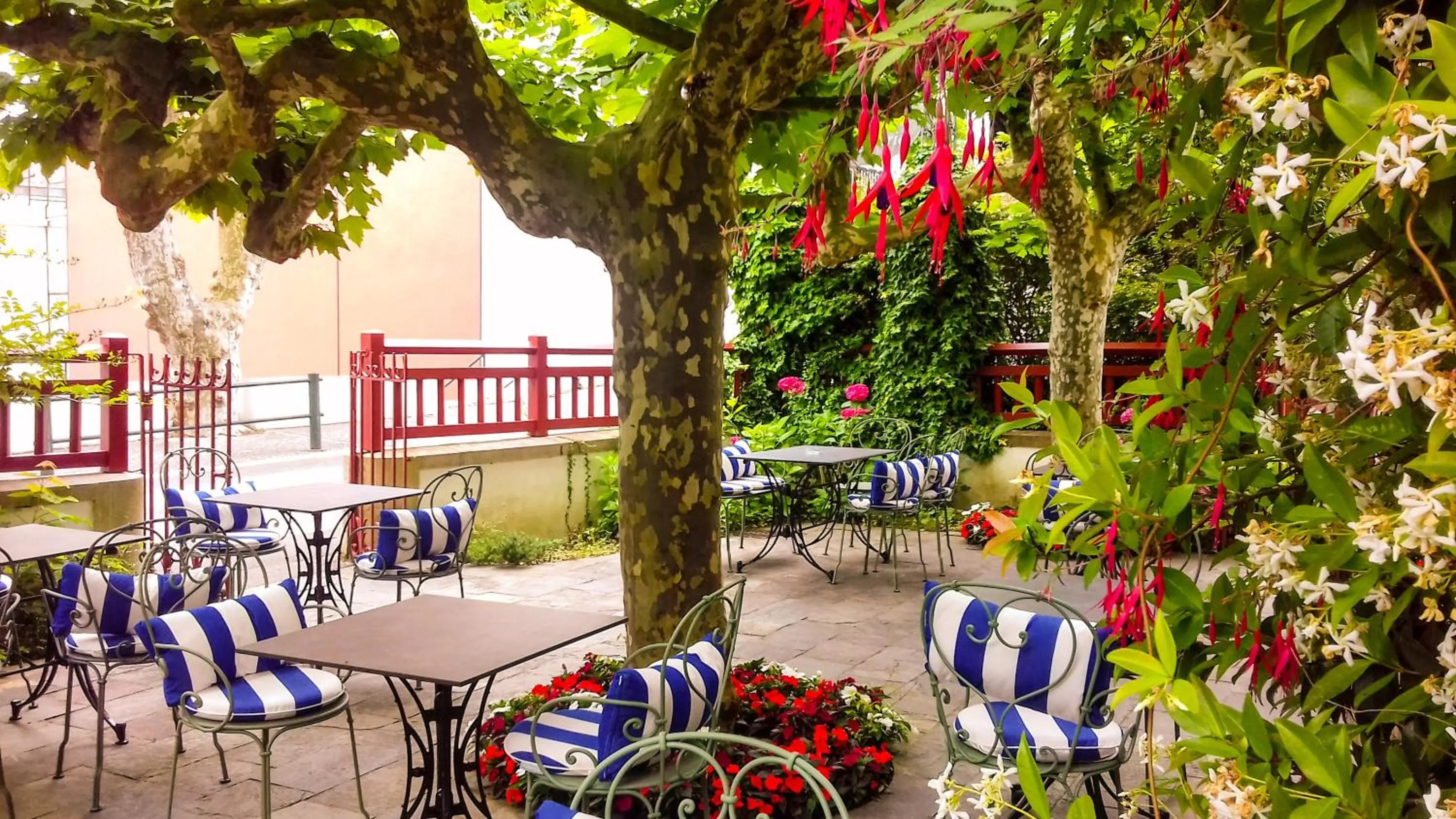 Patio in Hotel Villa Catarie