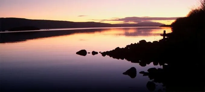 Natural landscape in Platinum Lakeside Lodge at Mullans Bay