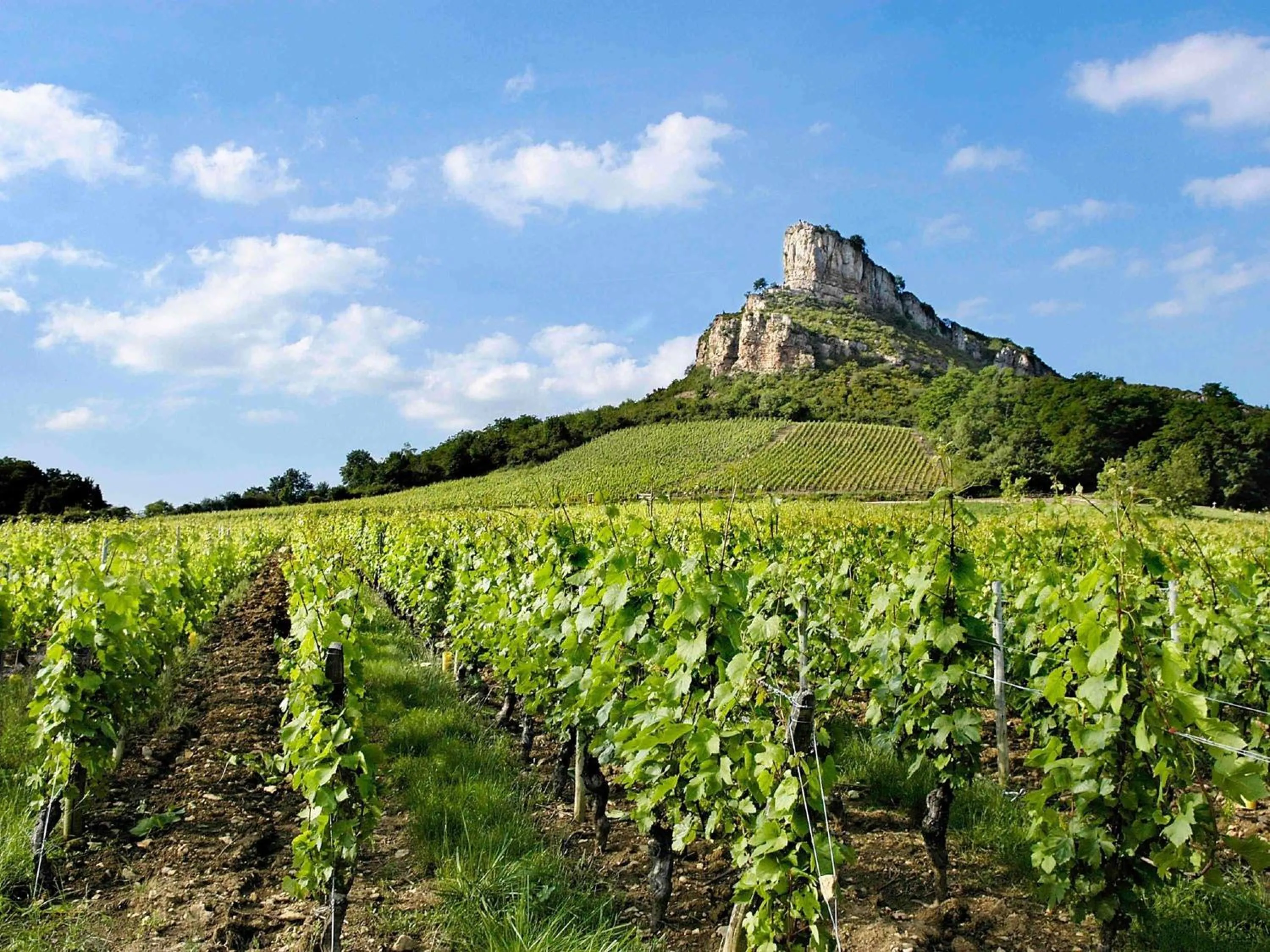 Property building in Hôtel Mercure Mâcon Bord de Saône