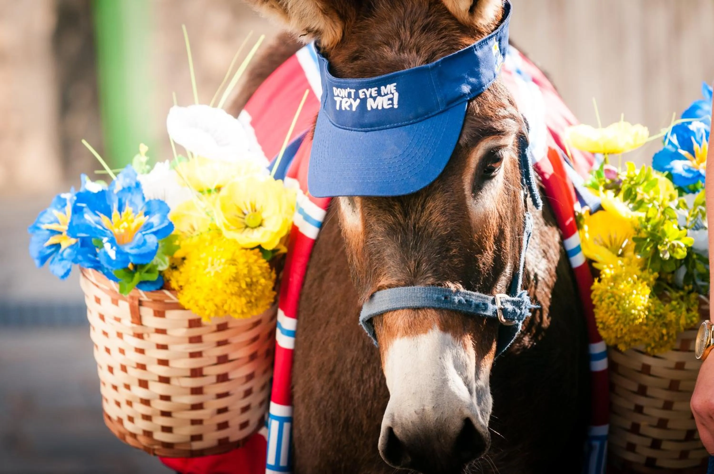 Club Mykonos Langebaan