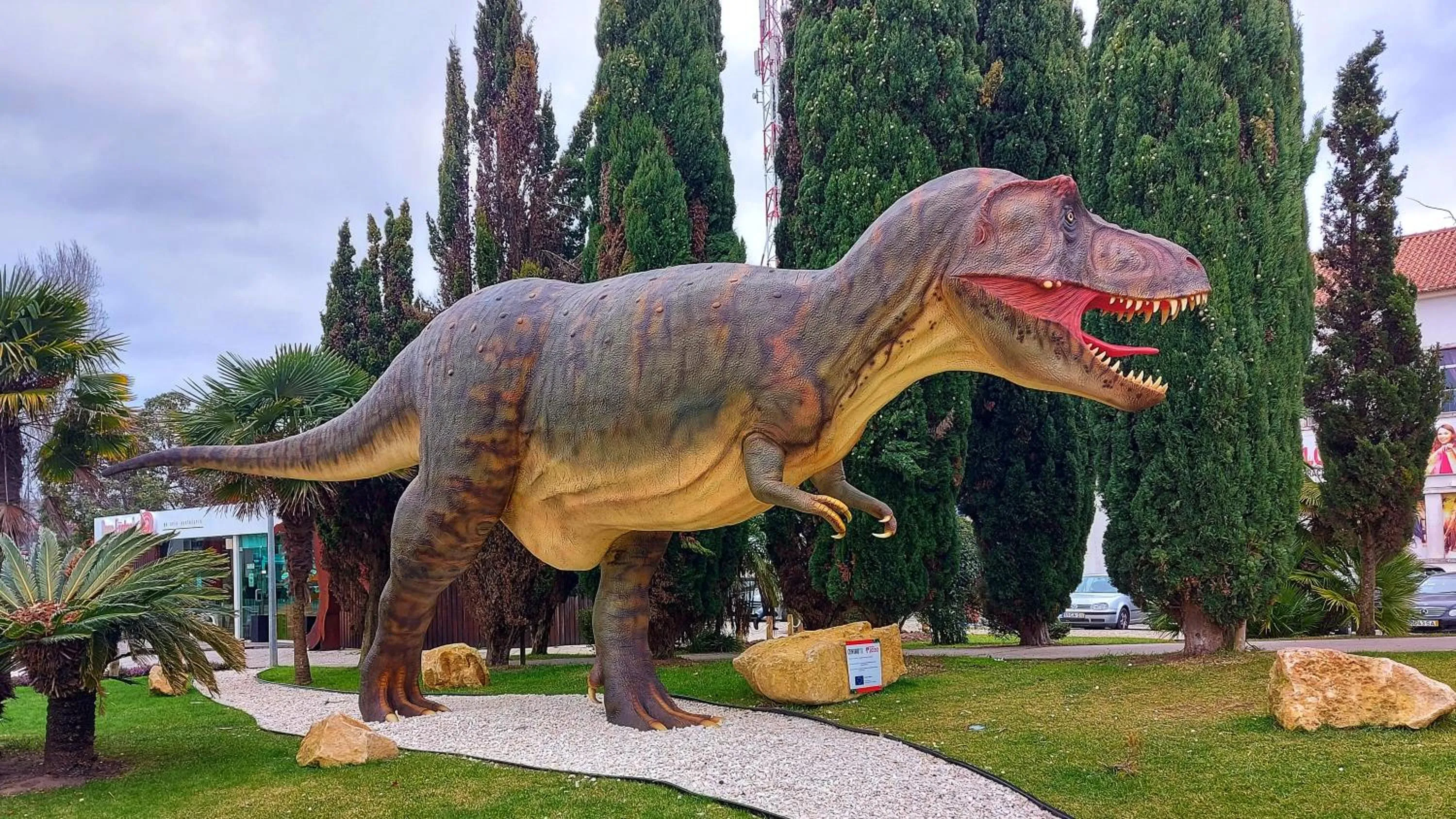 Animals in Pata da Gaivota Boutique House