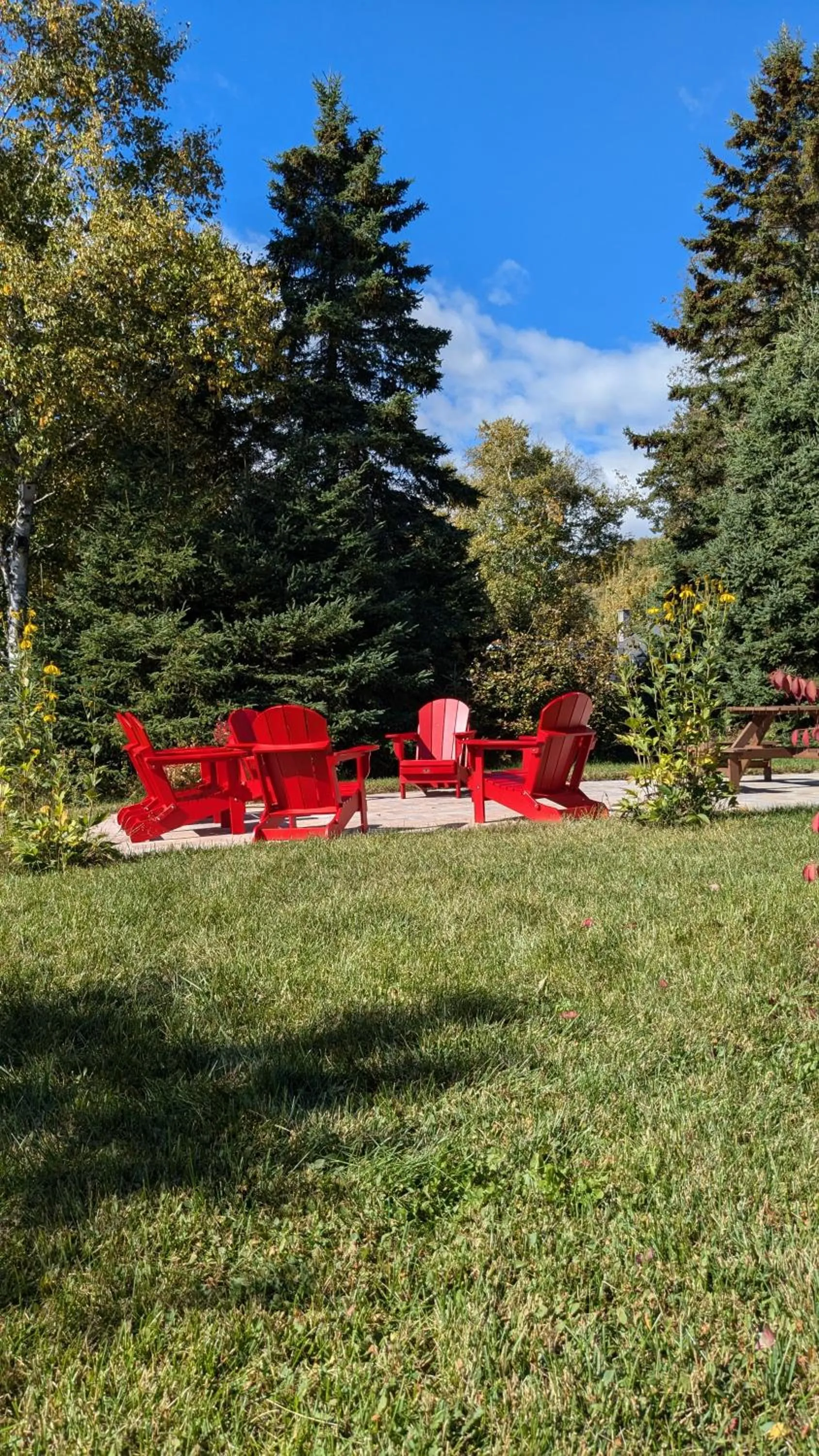 Patio in Au Cachalot Caché le gîte hôtel