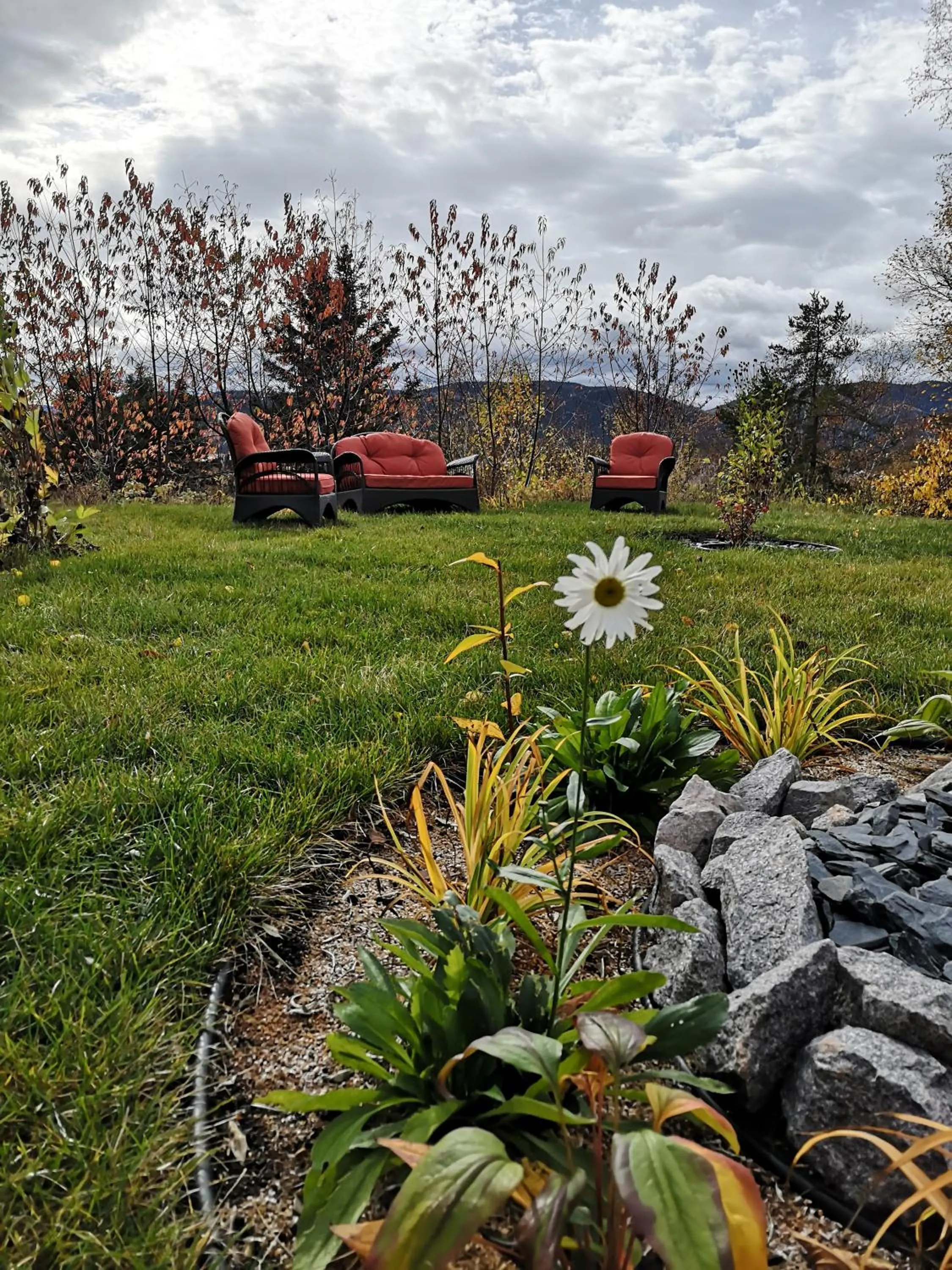 Garden in Au Cachalot Caché le gîte hôtel