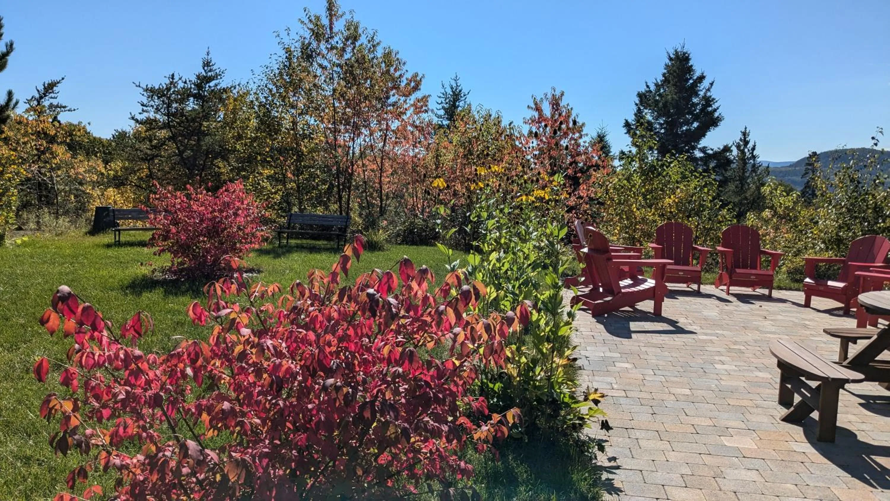 Patio in Au Cachalot Caché le gîte hôtel