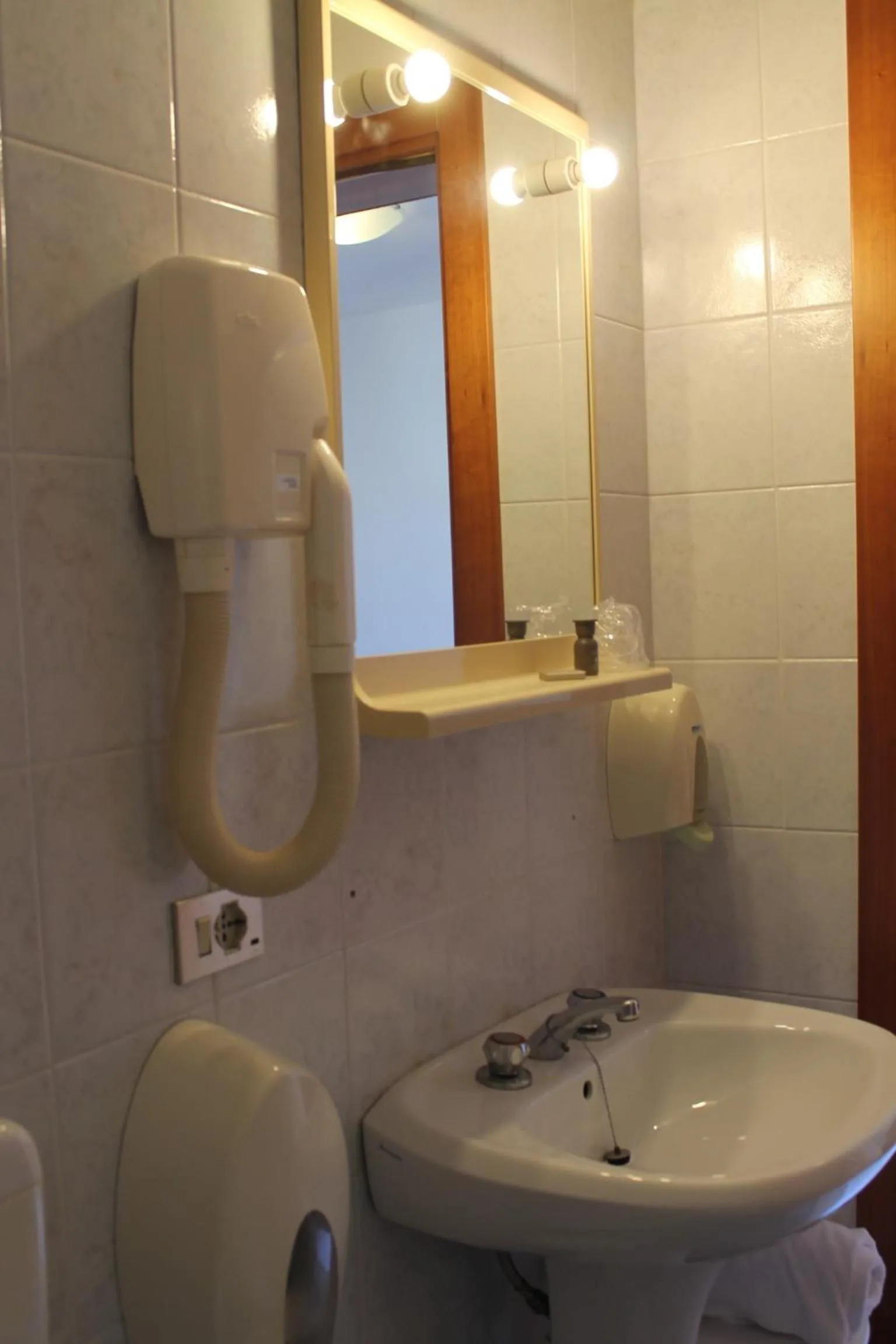 Single Room in Hotel Vienna