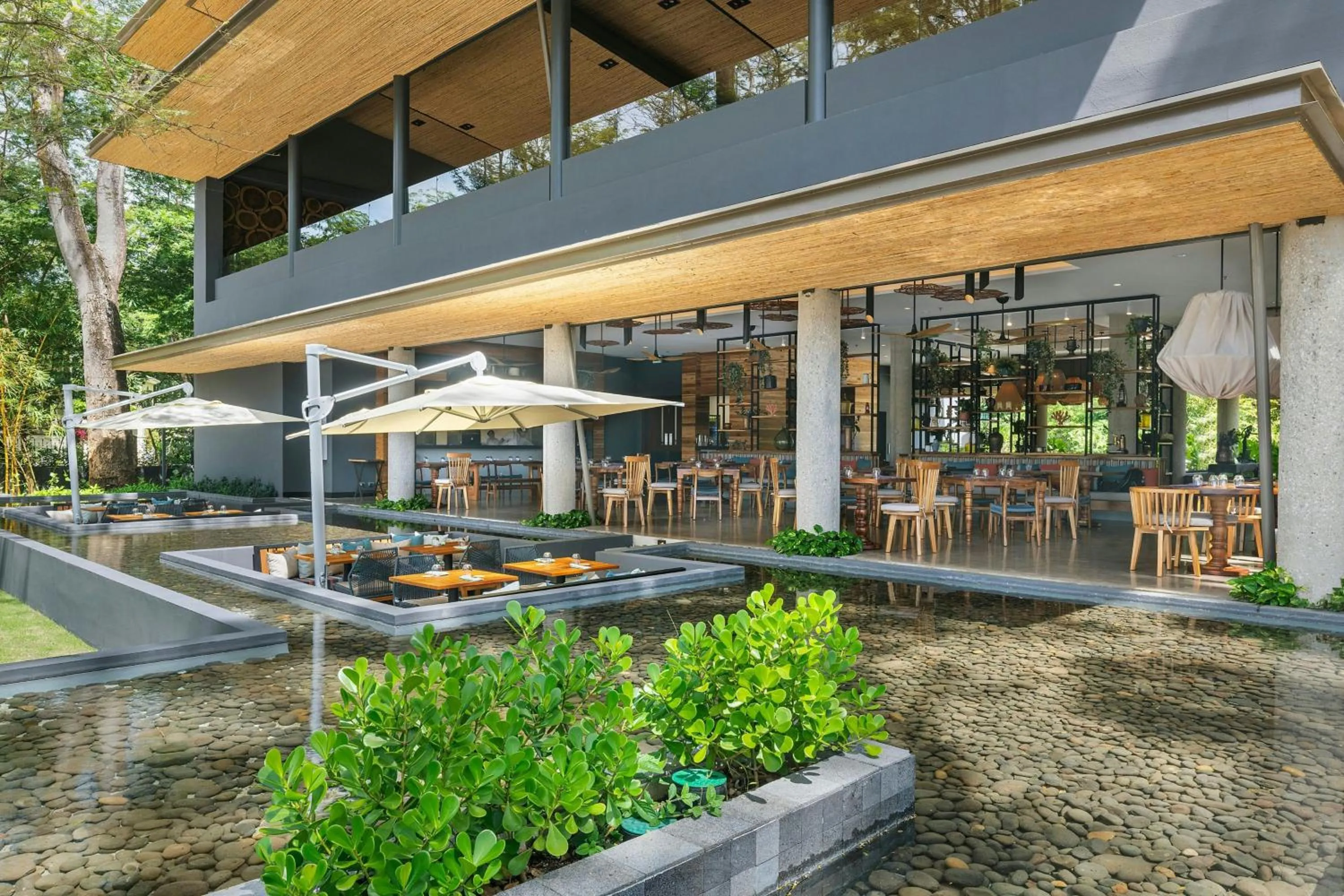 Restaurant/places to eat in El Mangroove Papagayo, Autograph Collection