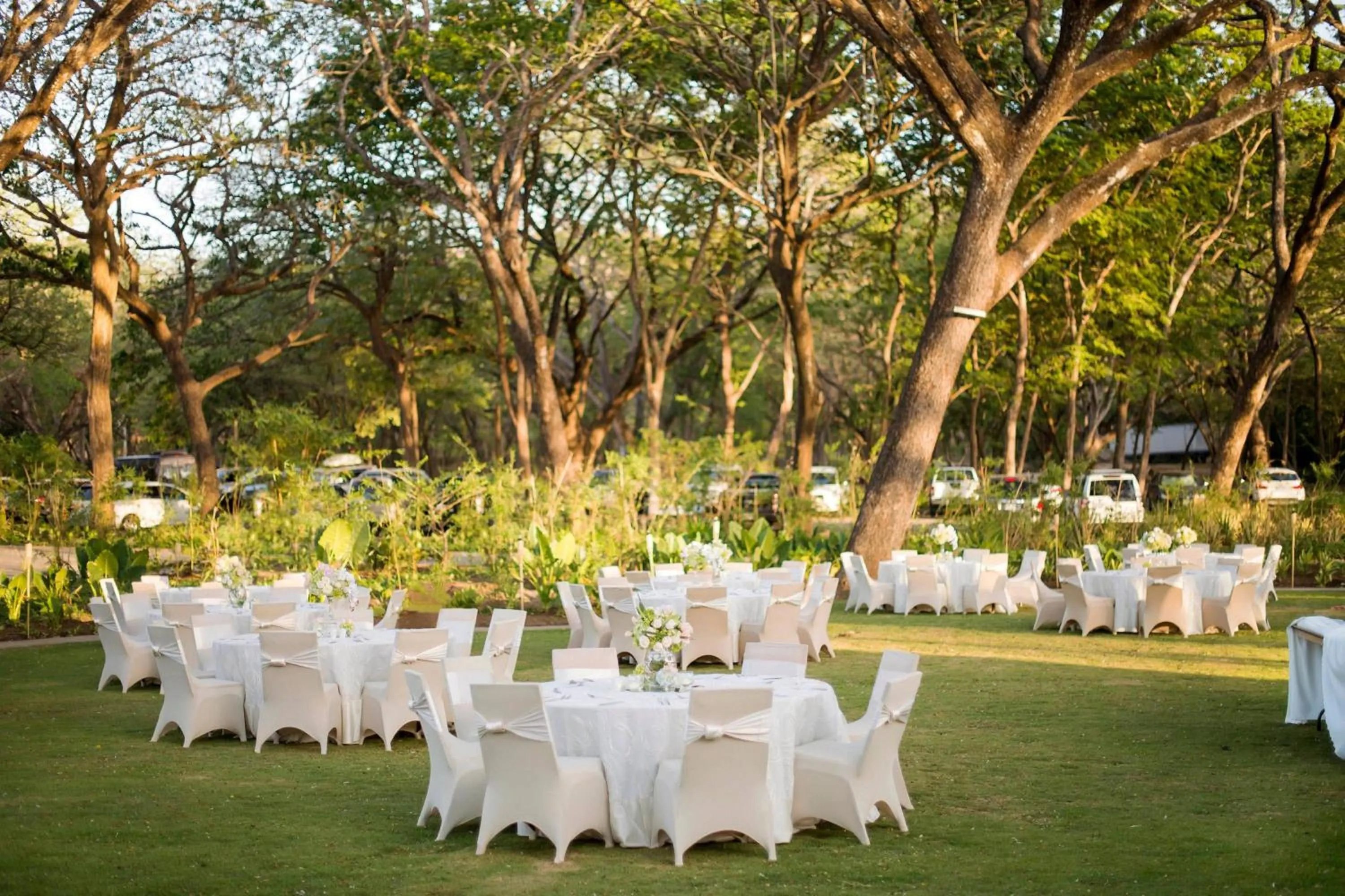 Banquet/Function facilities in El Mangroove Papagayo, Autograph Collection