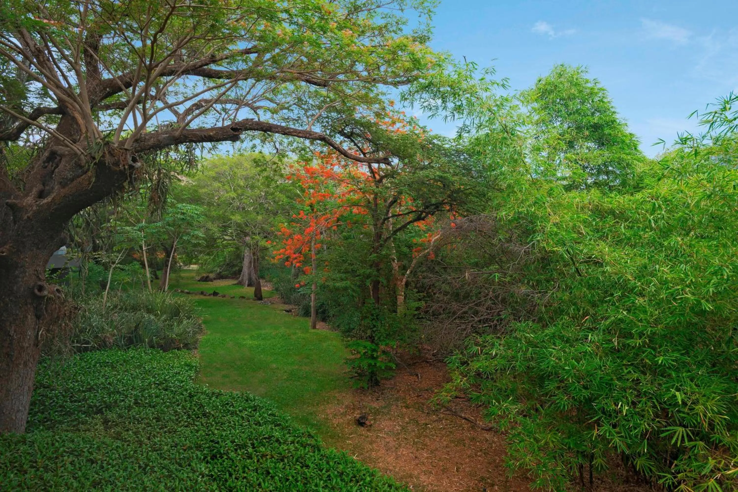 View (from property/room) in El Mangroove Papagayo, Autograph Collection