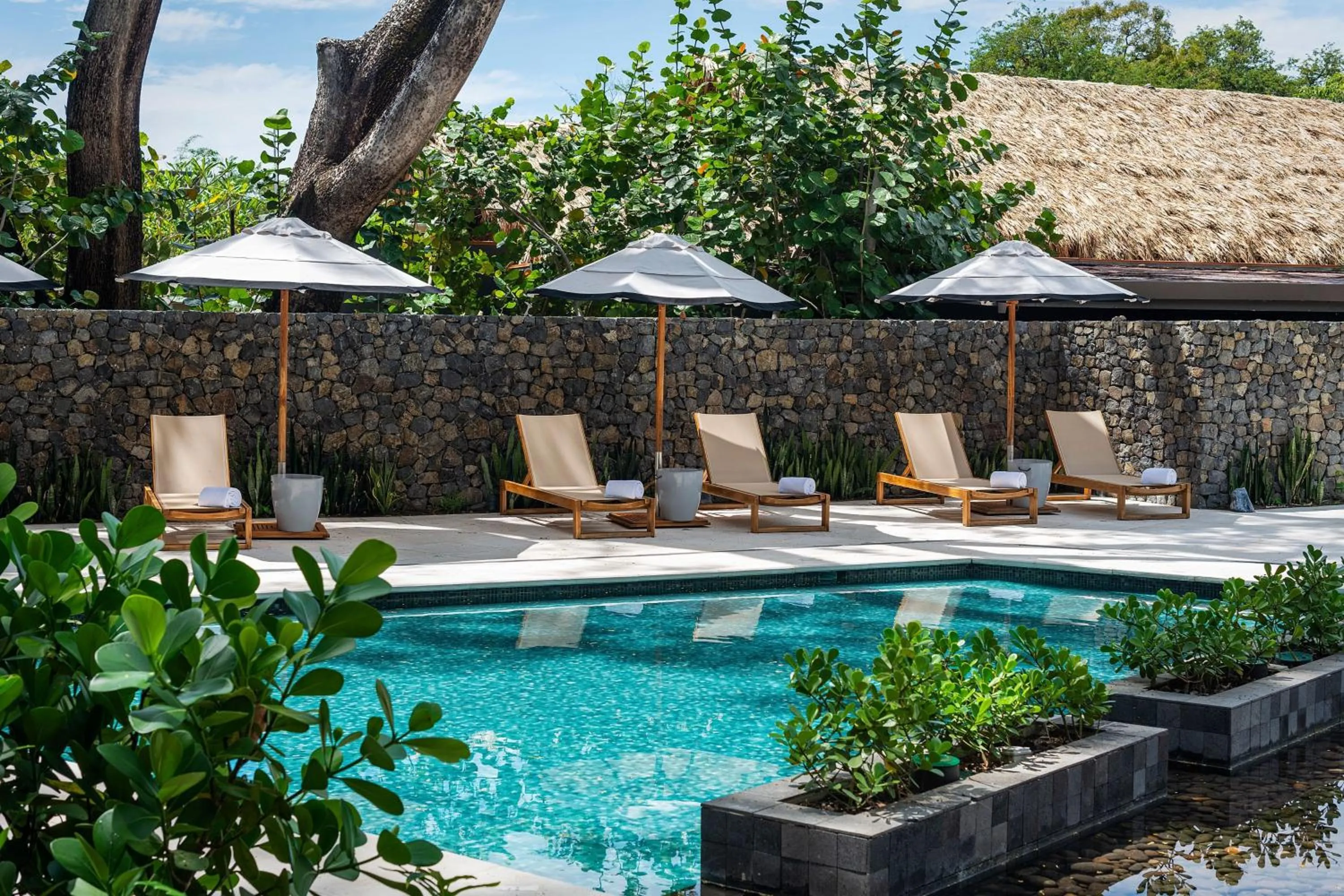 Swimming pool in El Mangroove Papagayo, Autograph Collection