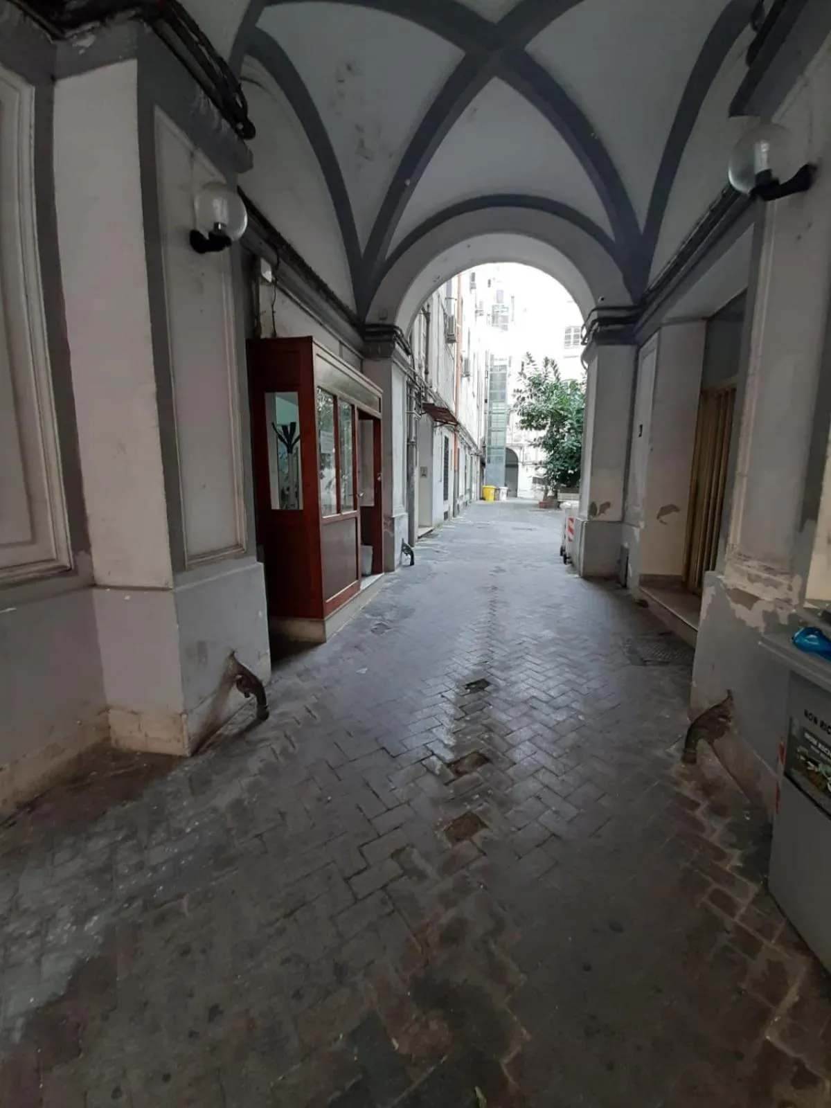 Neighbourhood in Notte Stellata