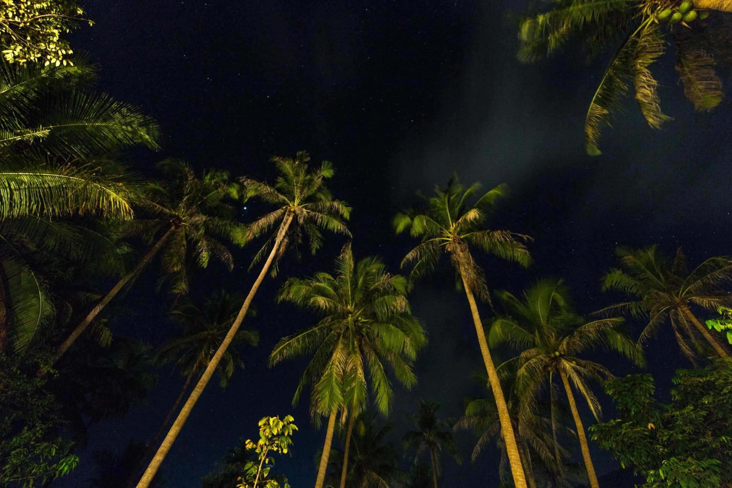 View (from property/room) in Koh Phangan Pavilions Serviced Apartments