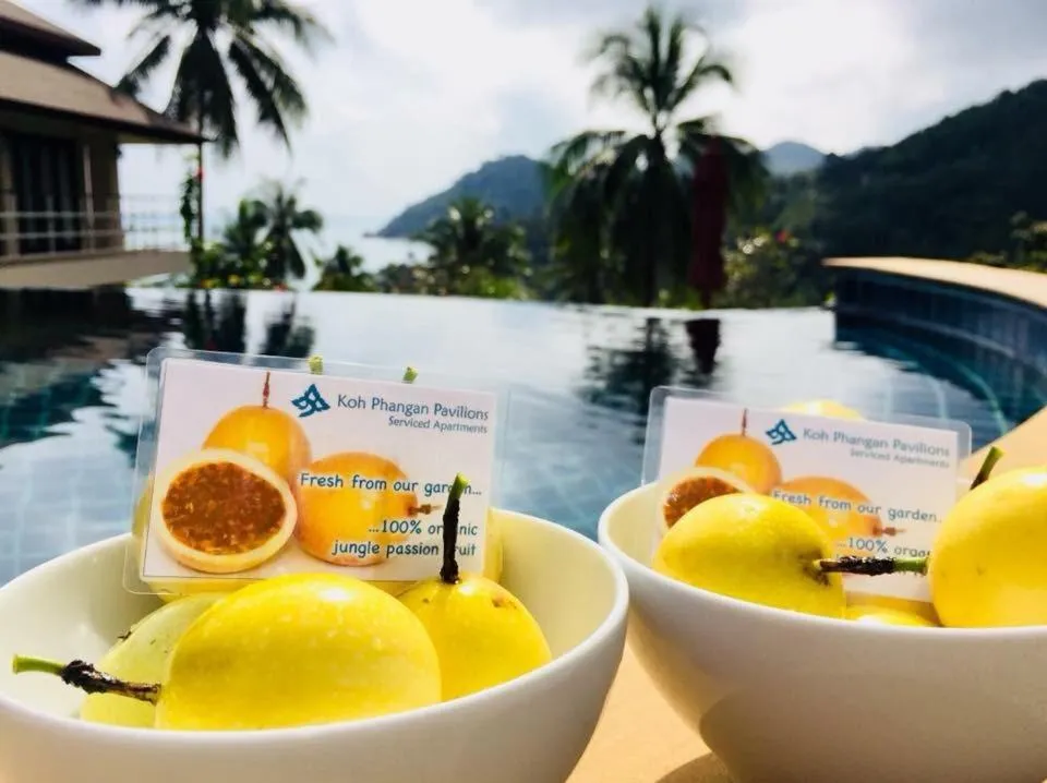 Koh Phangan Pavilions Serviced Apartments