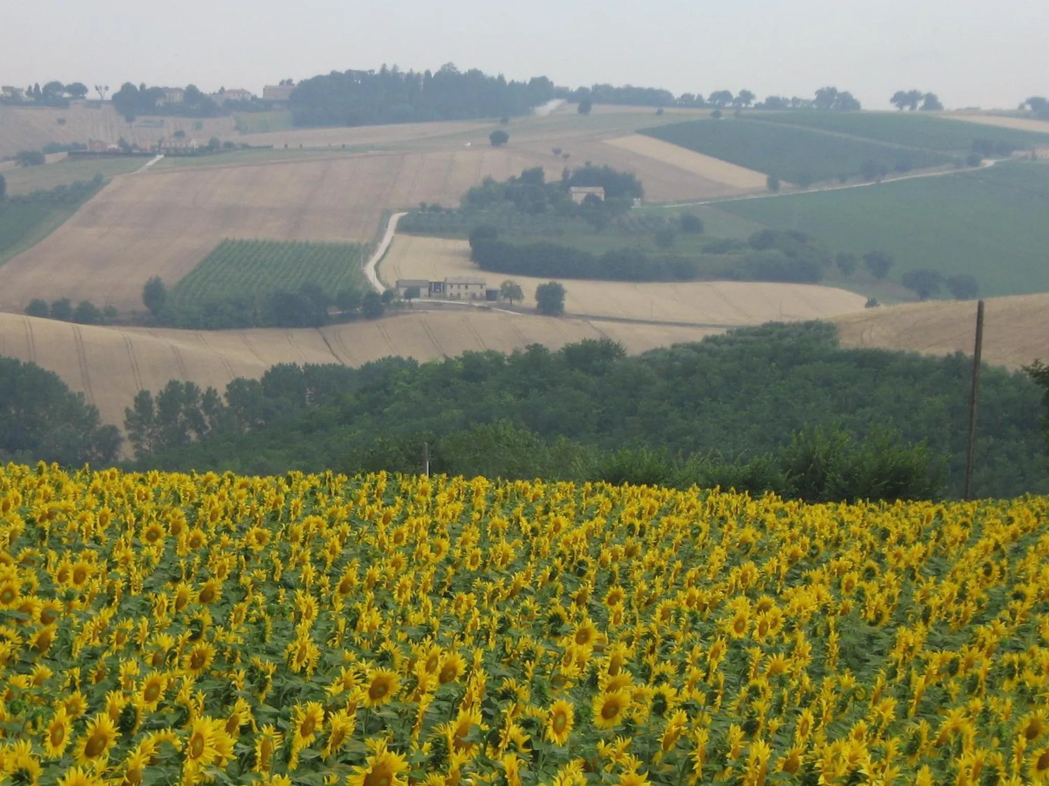 Area and facilities in Il Giardino Degli Ulivi