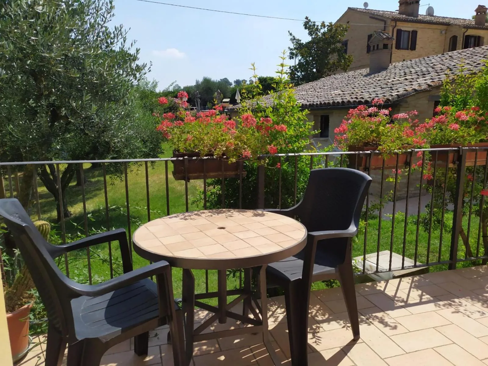 Il Giardino Degli Ulivi