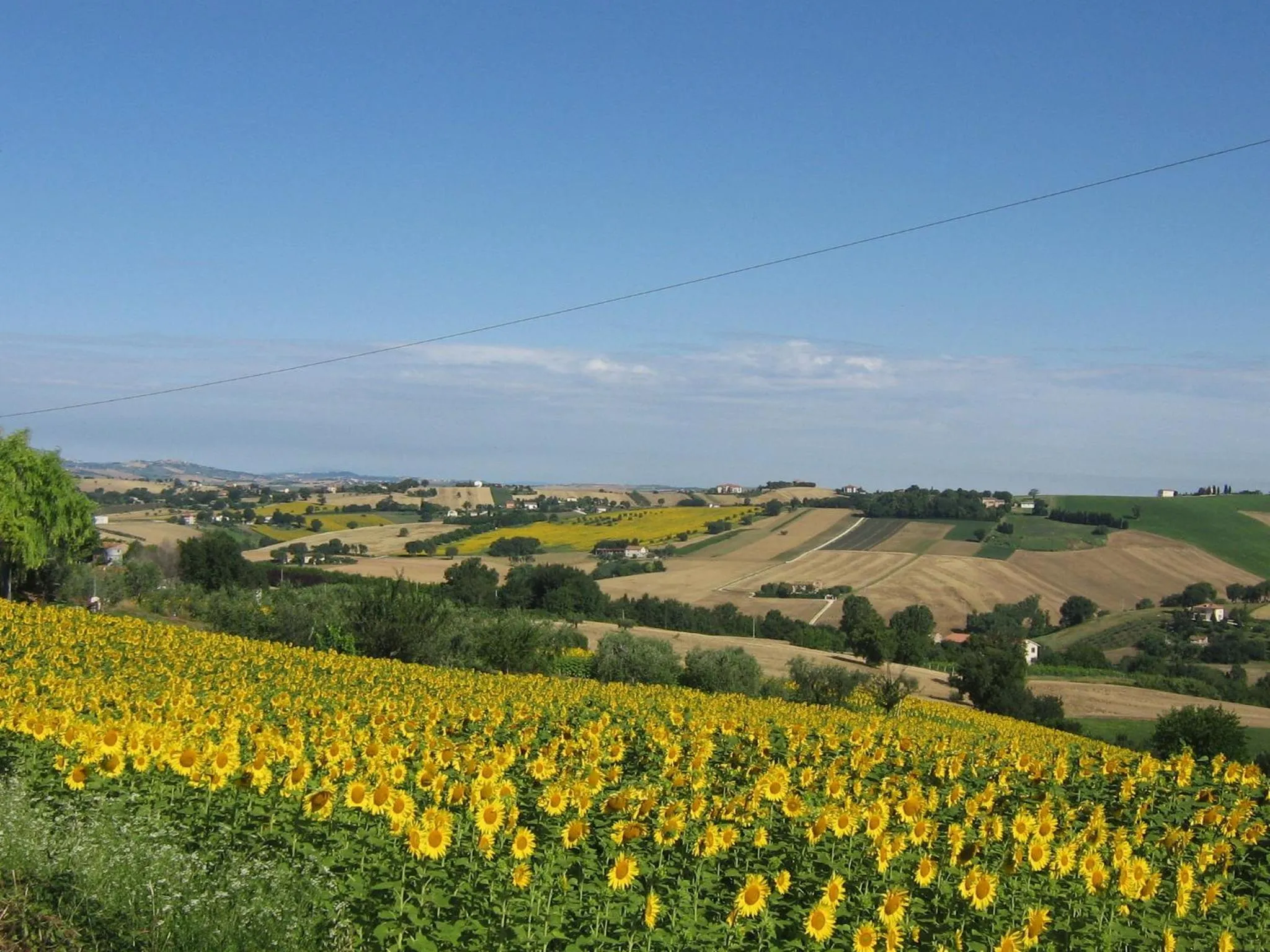 Area and facilities in Il Giardino Degli Ulivi