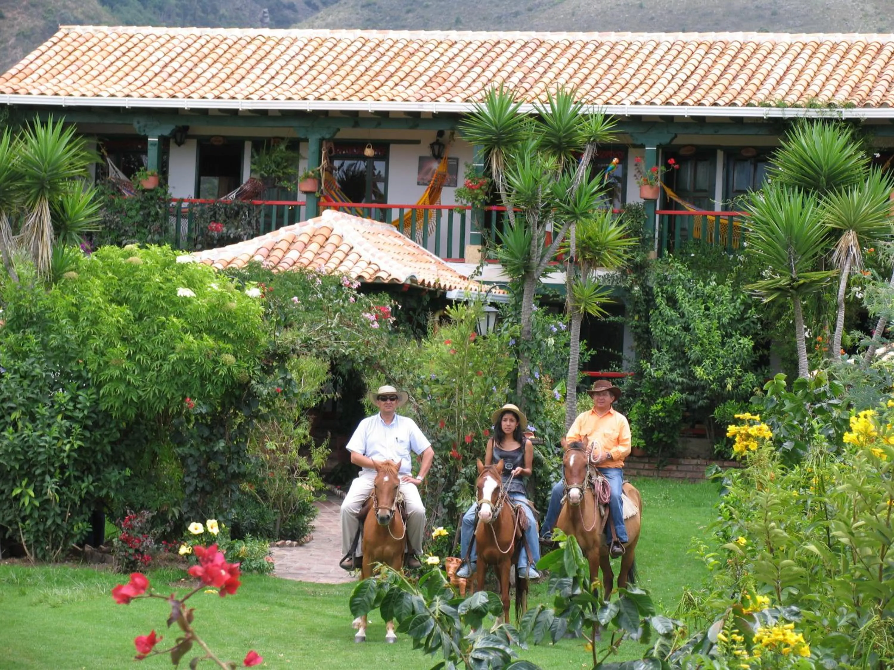 Activities in Hotel Spa Villa Lina