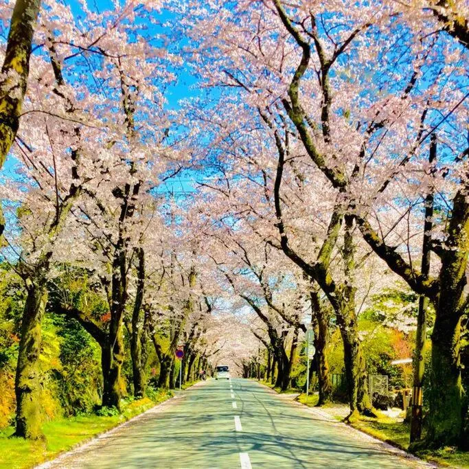 Off site in Cozy Villa with Hot springs and Nature