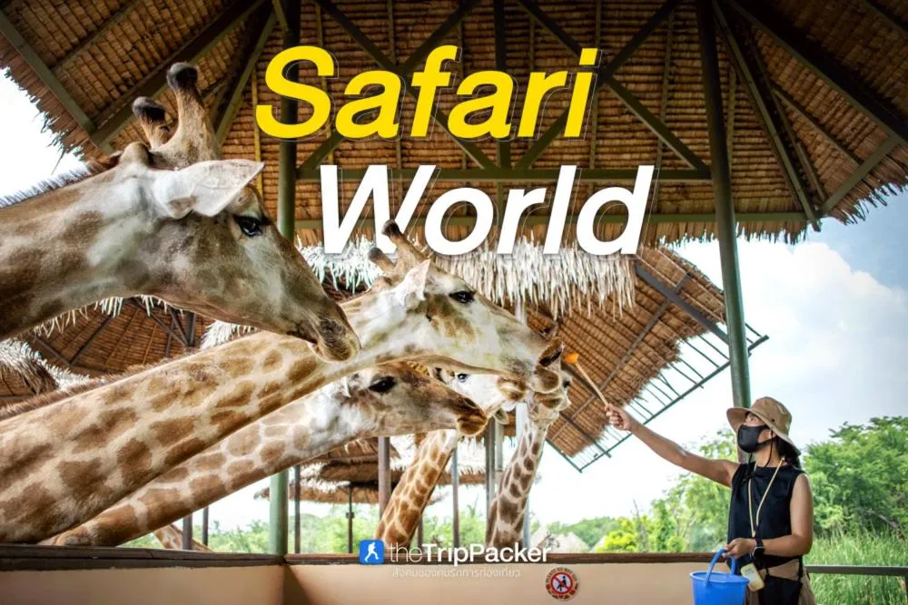 Nearby landmark in sk resort