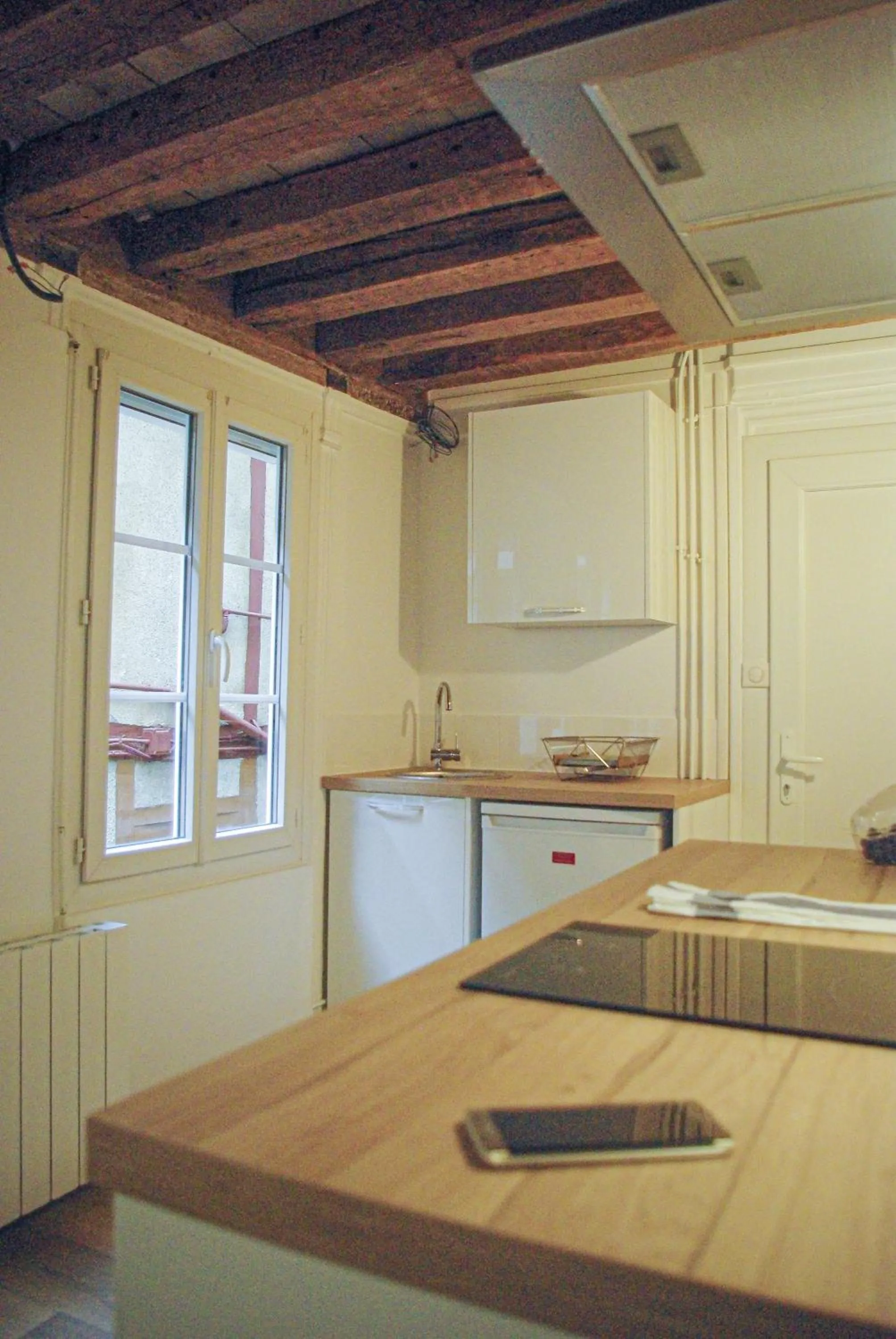 Dijon Standing Historic City Apartment