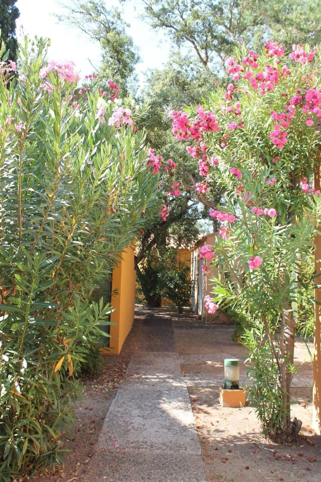 Facade/entrance in Résidence Cala Bianca