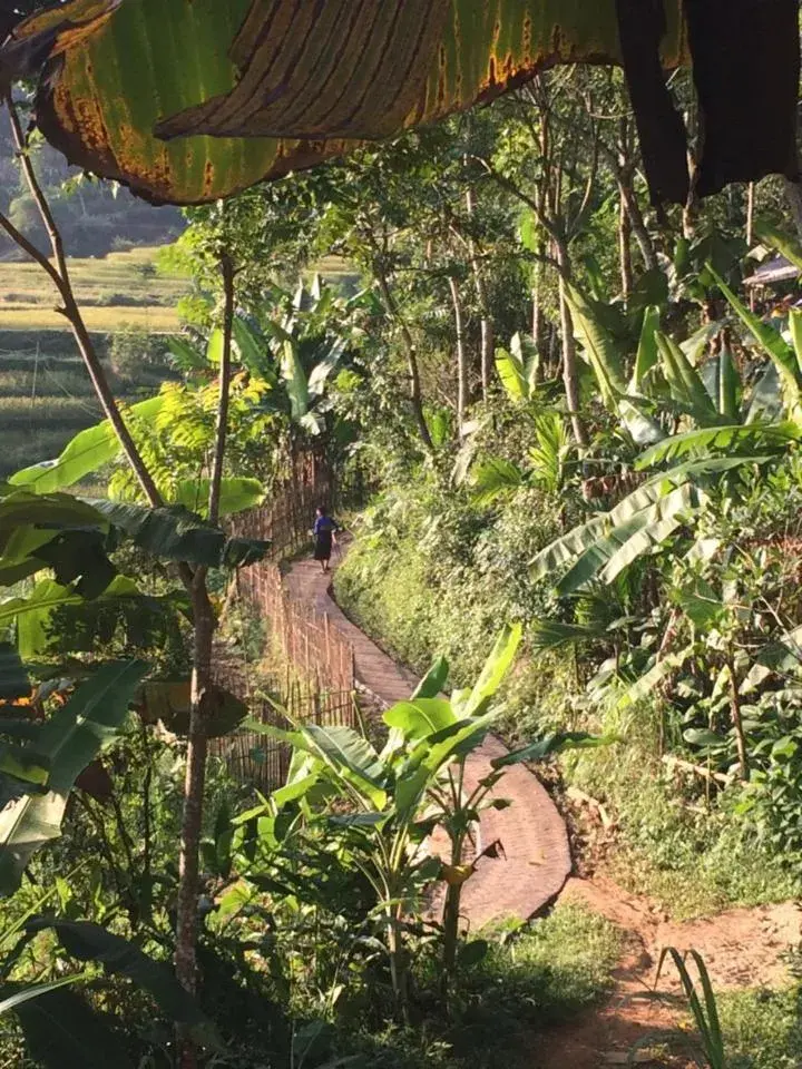 Property building in PU LUONG BOUTIQUE GARDEN Property building in PU LUONG BOUTIQUE GARDEN