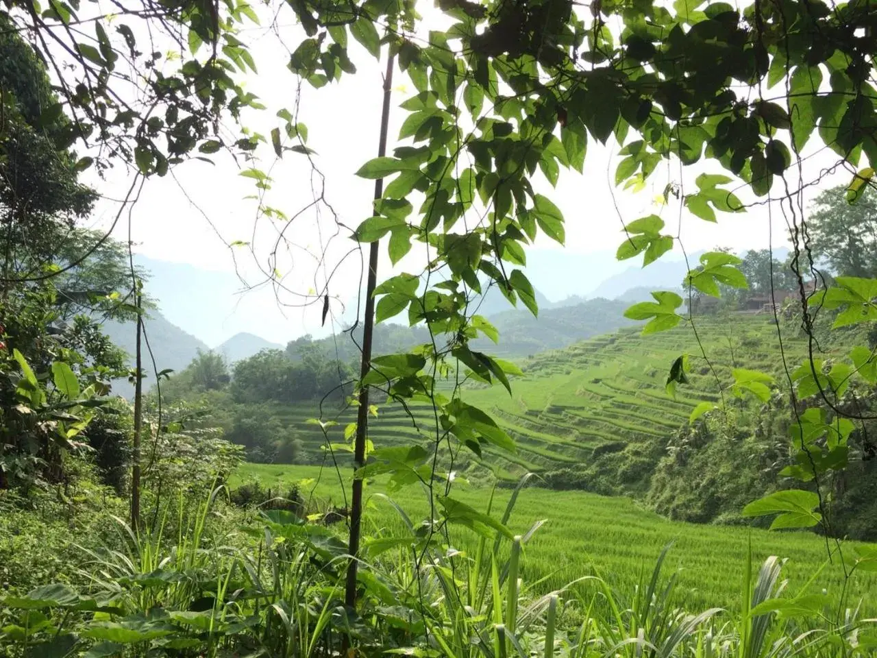 Property building in PU LUONG BOUTIQUE GARDEN Property building in PU LUONG BOUTIQUE GARDEN