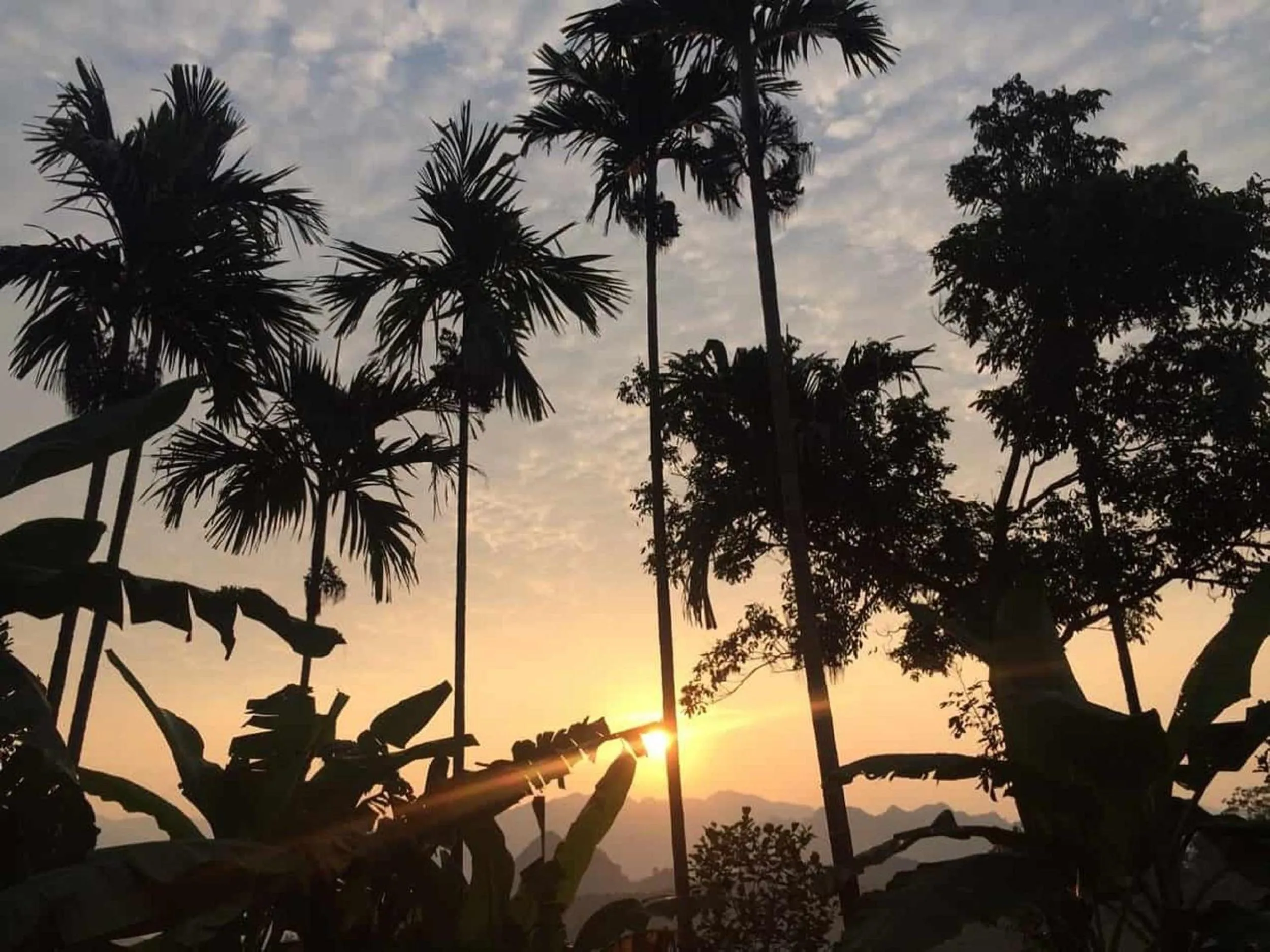 Garden in PU LUONG BOUTIQUE GARDEN