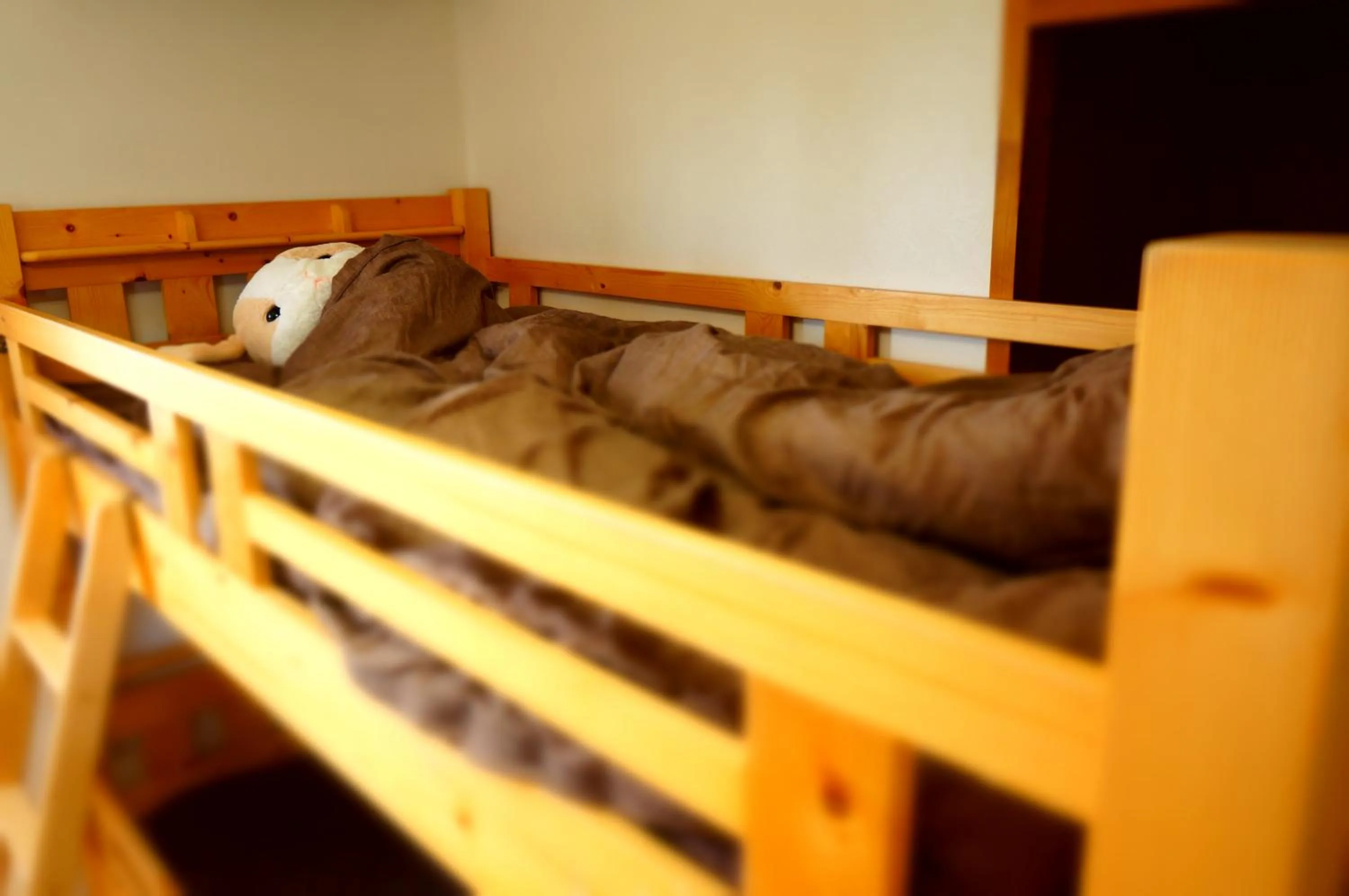 bunk bed, Bed in Osaka Tomato Guesthouse