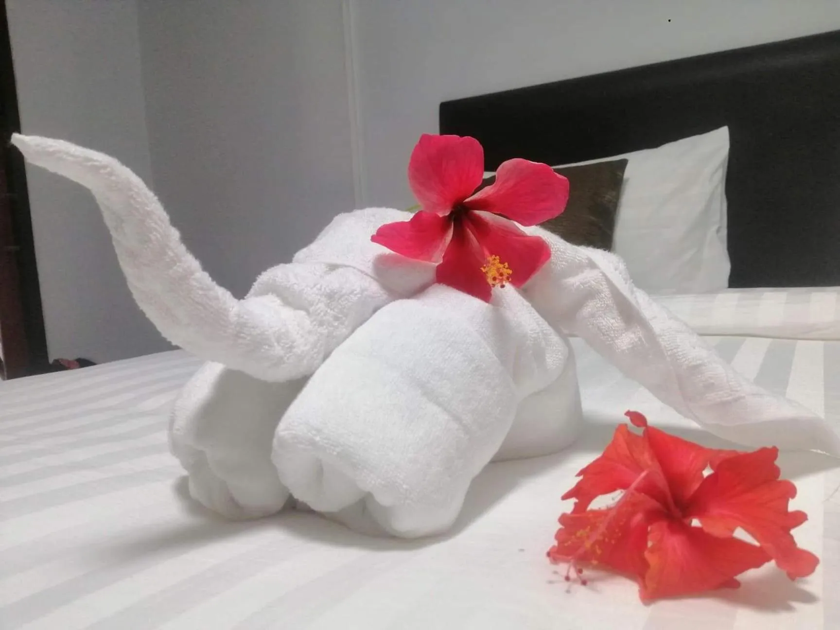 Bed in Mookboonchu Guesthouse ,Kohmook Trang