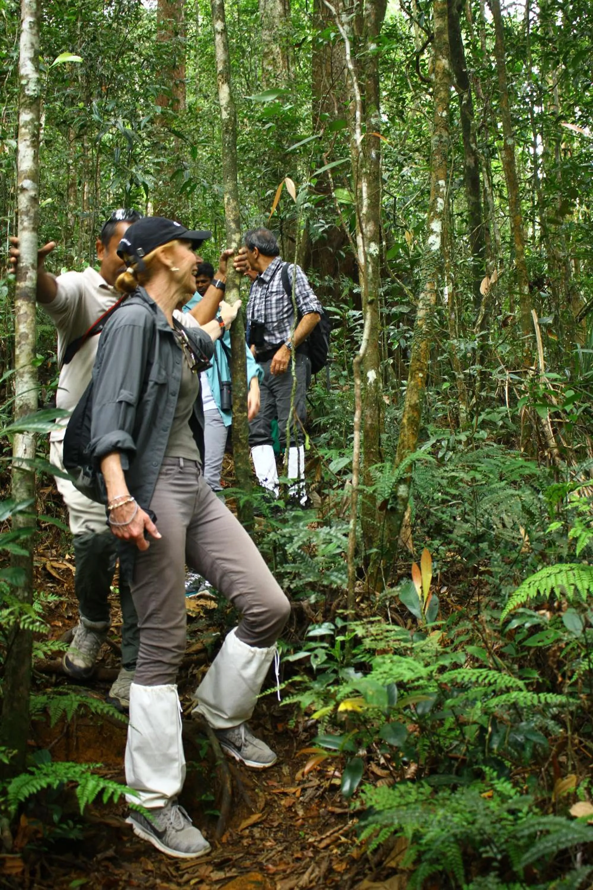Hiking in The Rainforest Ecolodge - Sinharaja with Shuttle Service from Car Park