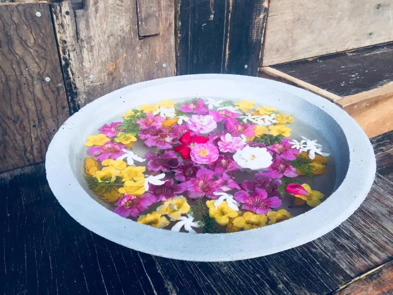 Spa and wellness centre/facilities in The Rainforest Ecolodge - Sinharaja with Shuttle Service from Car Park Spa and wellness centre/facilities in The Rainforest Ecolodge - Sinharaja with Shuttle Service from Car Park