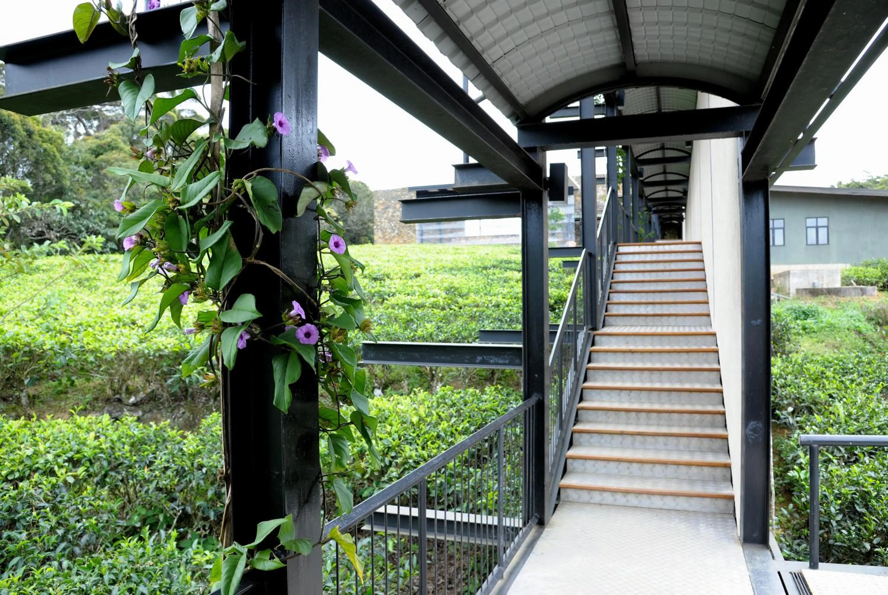 Property building in The Rainforest Ecolodge - Sinharaja with Shuttle Service from Car Park