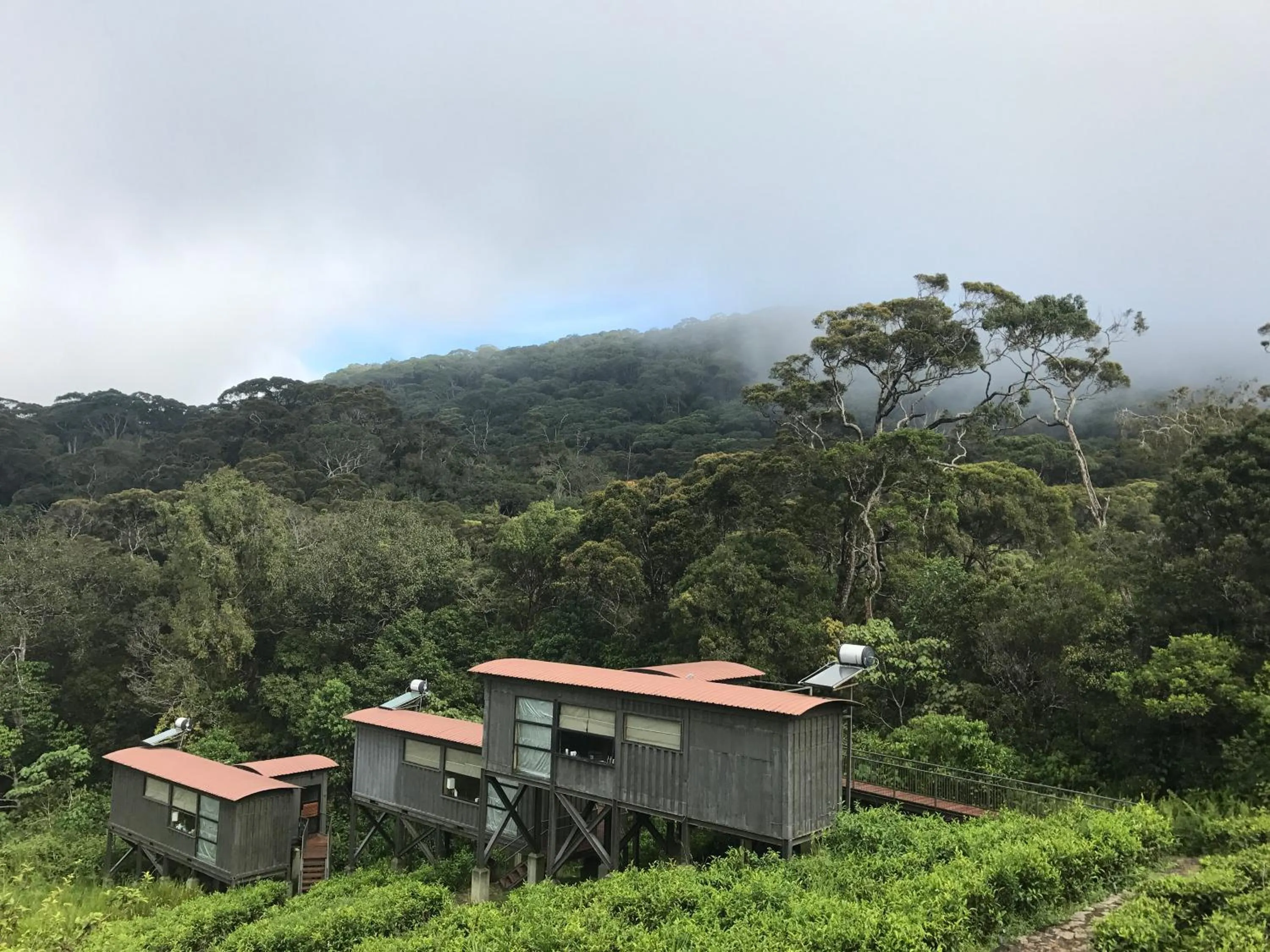 Bird's eye view in The Rainforest Ecolodge - Sinharaja with Shuttle Service from Car Park