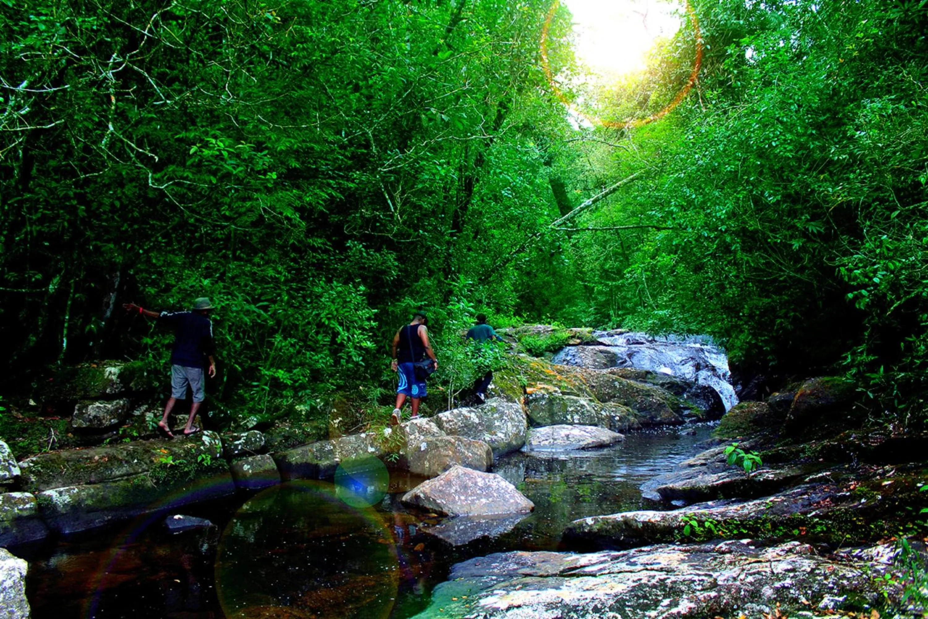 Activities in The Rainforest Ecolodge - Sinharaja with Shuttle Service from Car Park