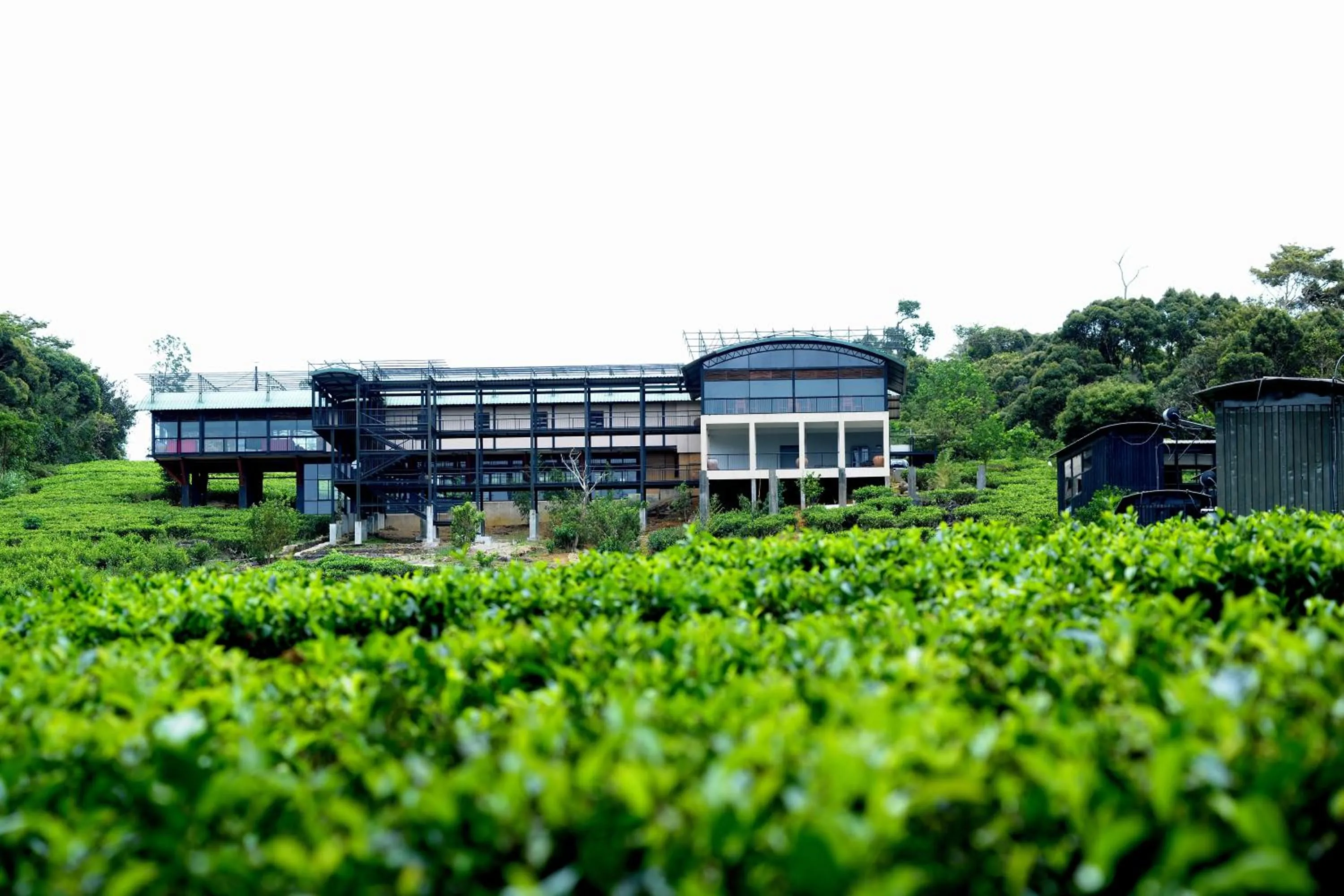 Property building in The Rainforest Ecolodge - Sinharaja with Shuttle Service from Car Park